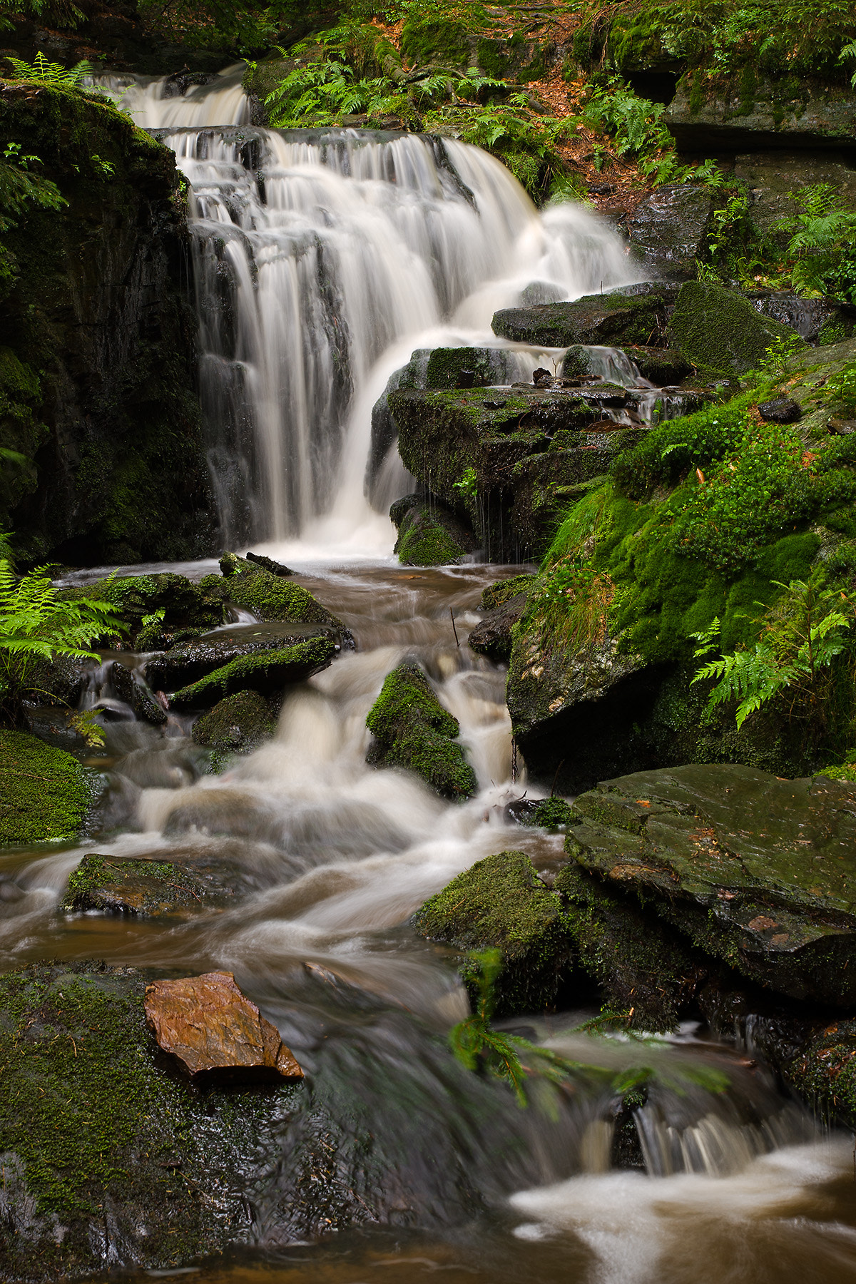 Pentax K20D sample photo. Nach dem gewitter photography