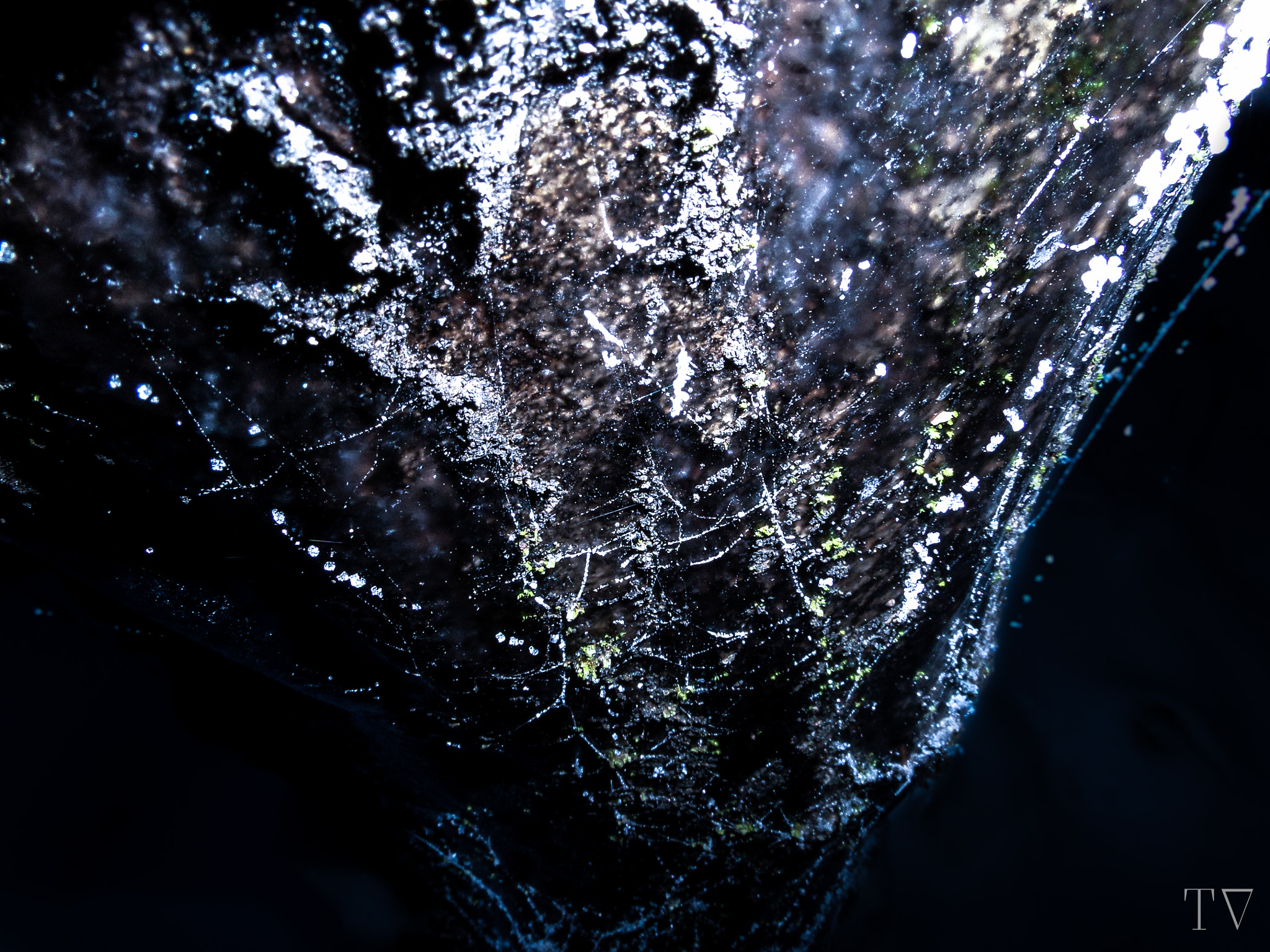 Samsung WB200F/WB201F/WB202F sample photo. A tree swallowed by ice photography