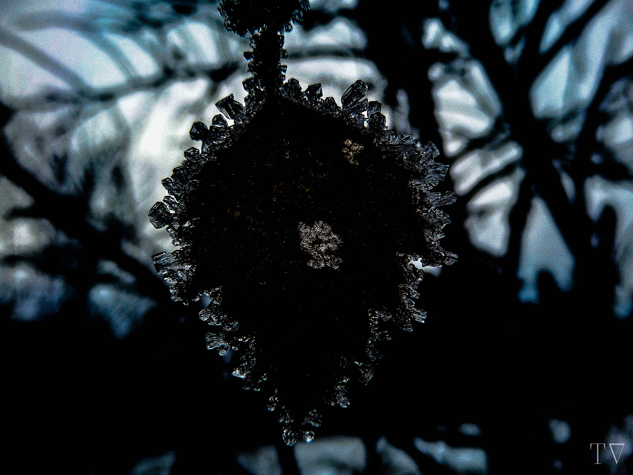 Samsung WB200F/WB201F/WB202F sample photo. Leaf of ice photography