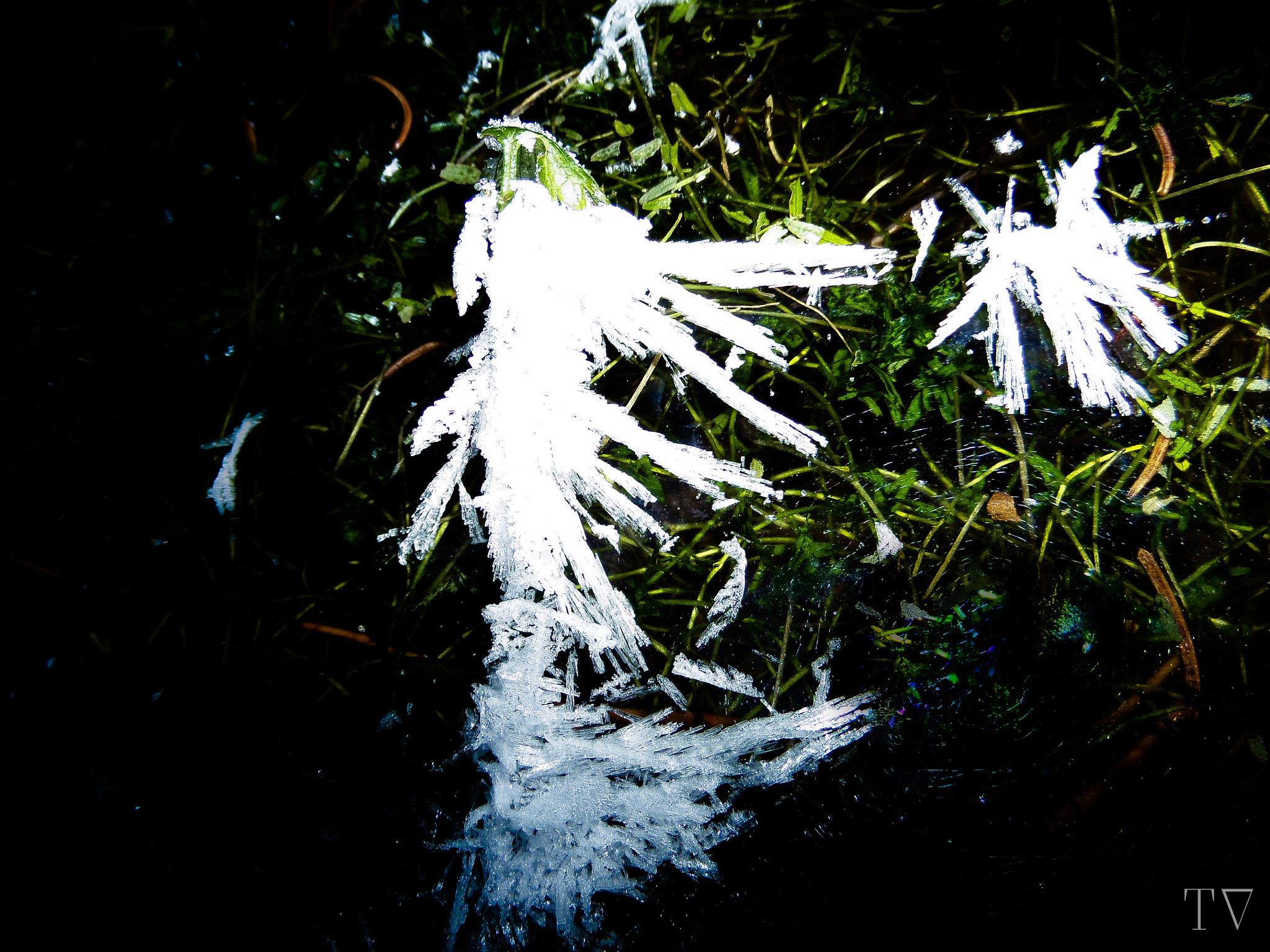 Samsung WB200F/WB201F/WB202F sample photo. Ice shrapnel photography