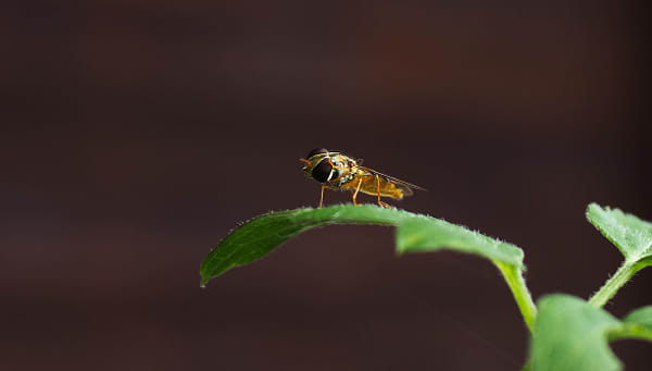 Tokina AT-X 242 AF 24-200mm f/3.5-5.6 sample photos - ExploreCams