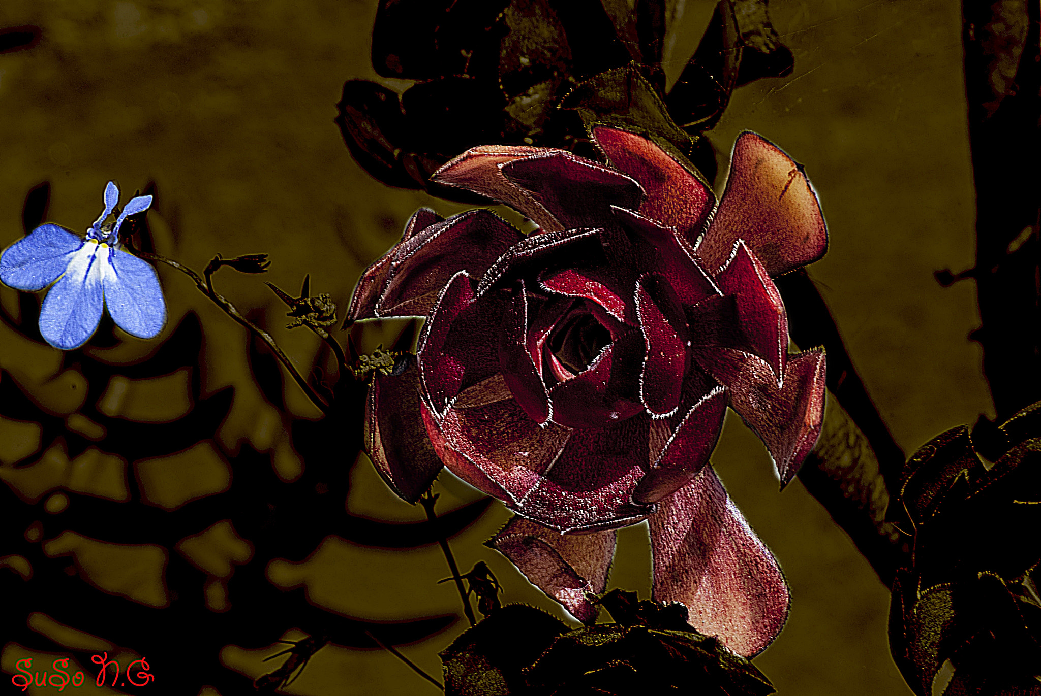 Nikon D3000 sample photo. Los colores photography
