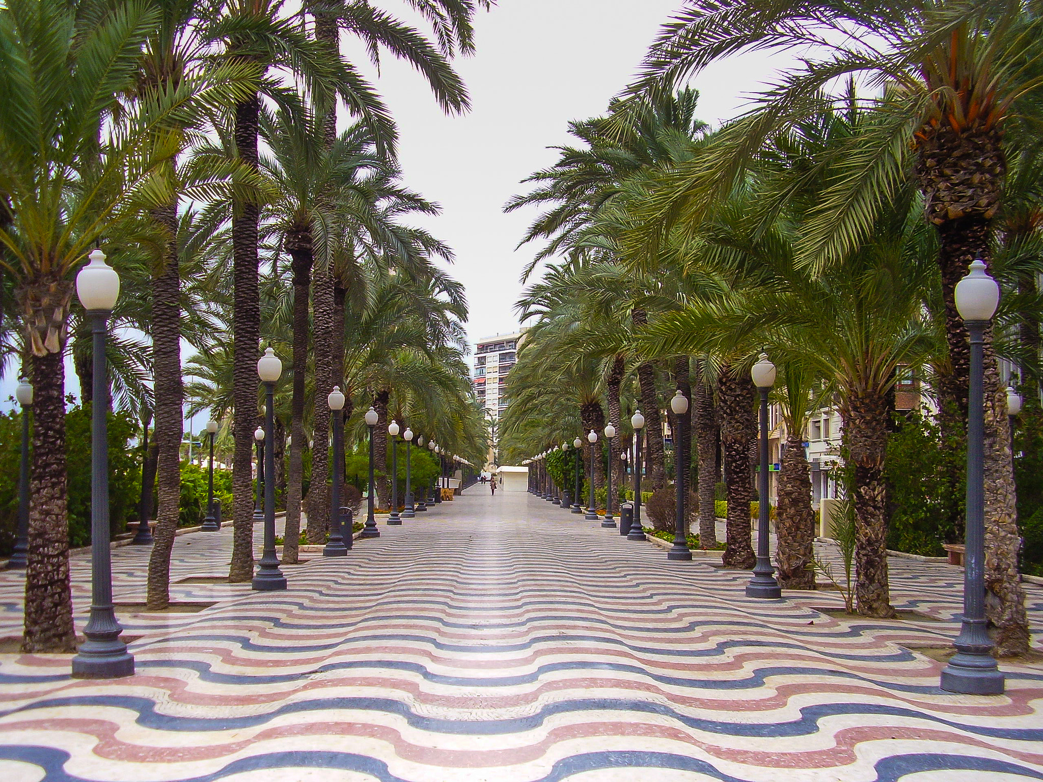 Olympus FE115,X715 sample photo. Alicante: explanada de españa photography