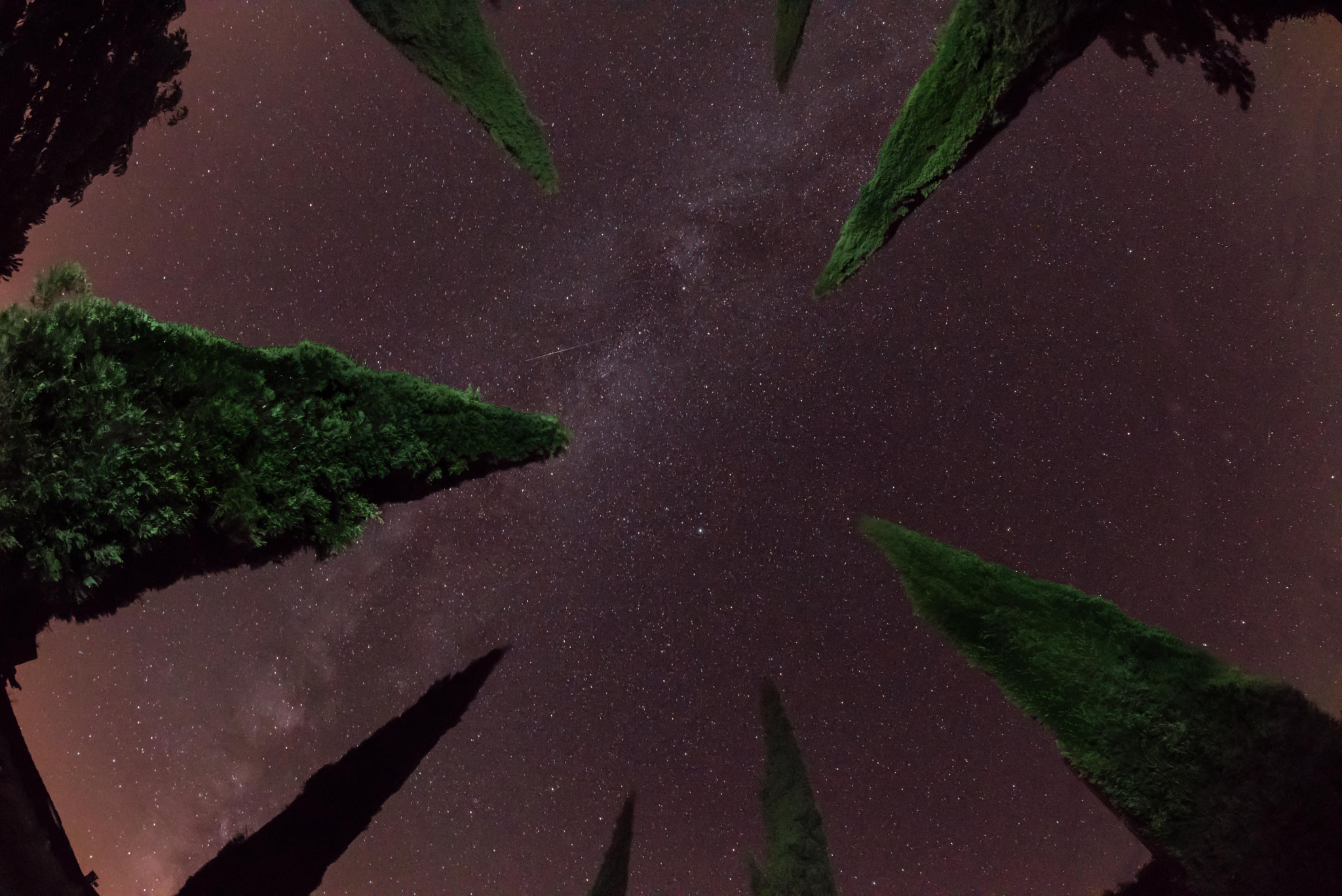 Nikon D810 + Nikon AF Fisheye-Nikkor 16mm F2.8D sample photo. Milky way photography