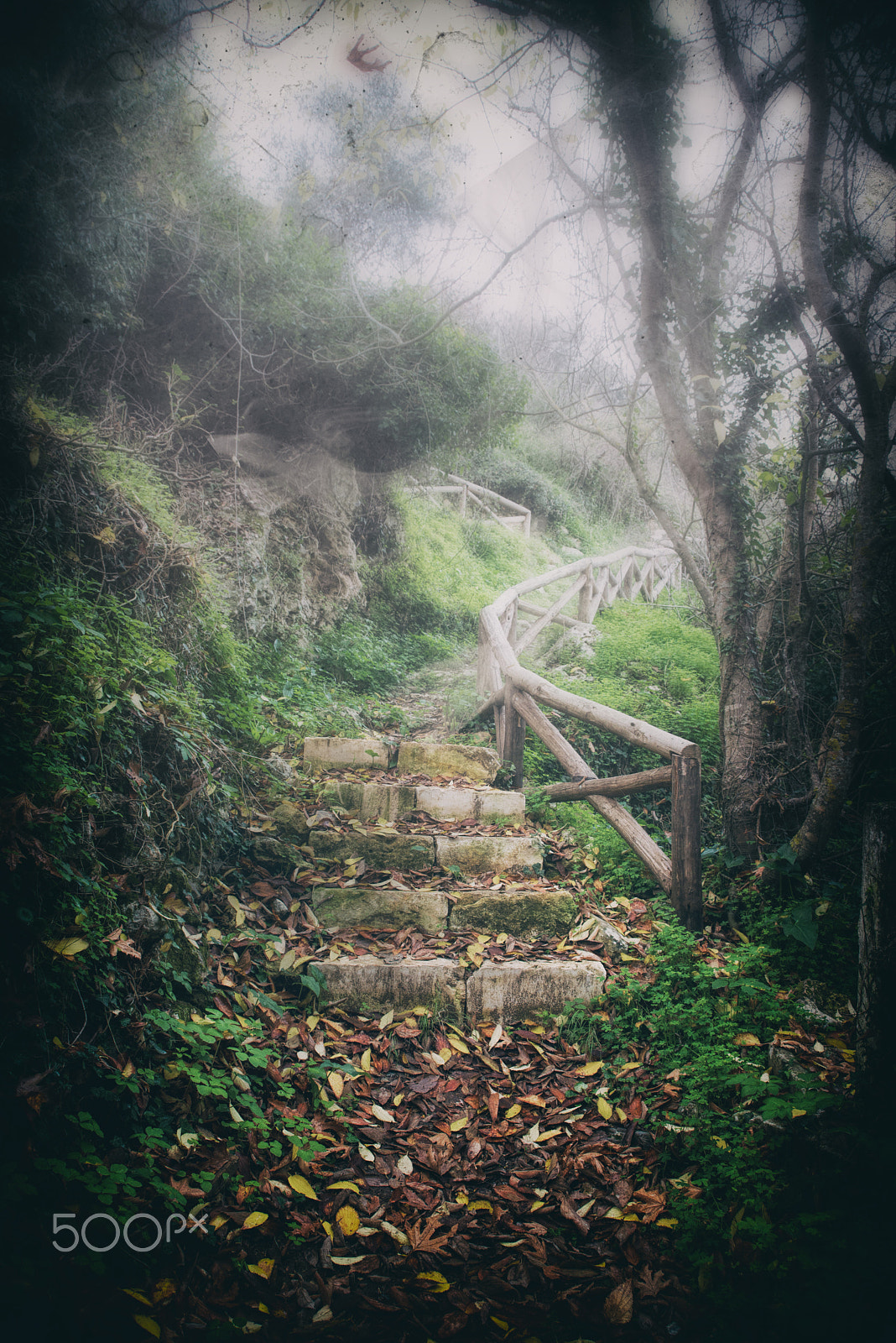 AF Zoom-Nikkor 28-105mm f/3.5-4.5D IF sample photo. The path to light. photography