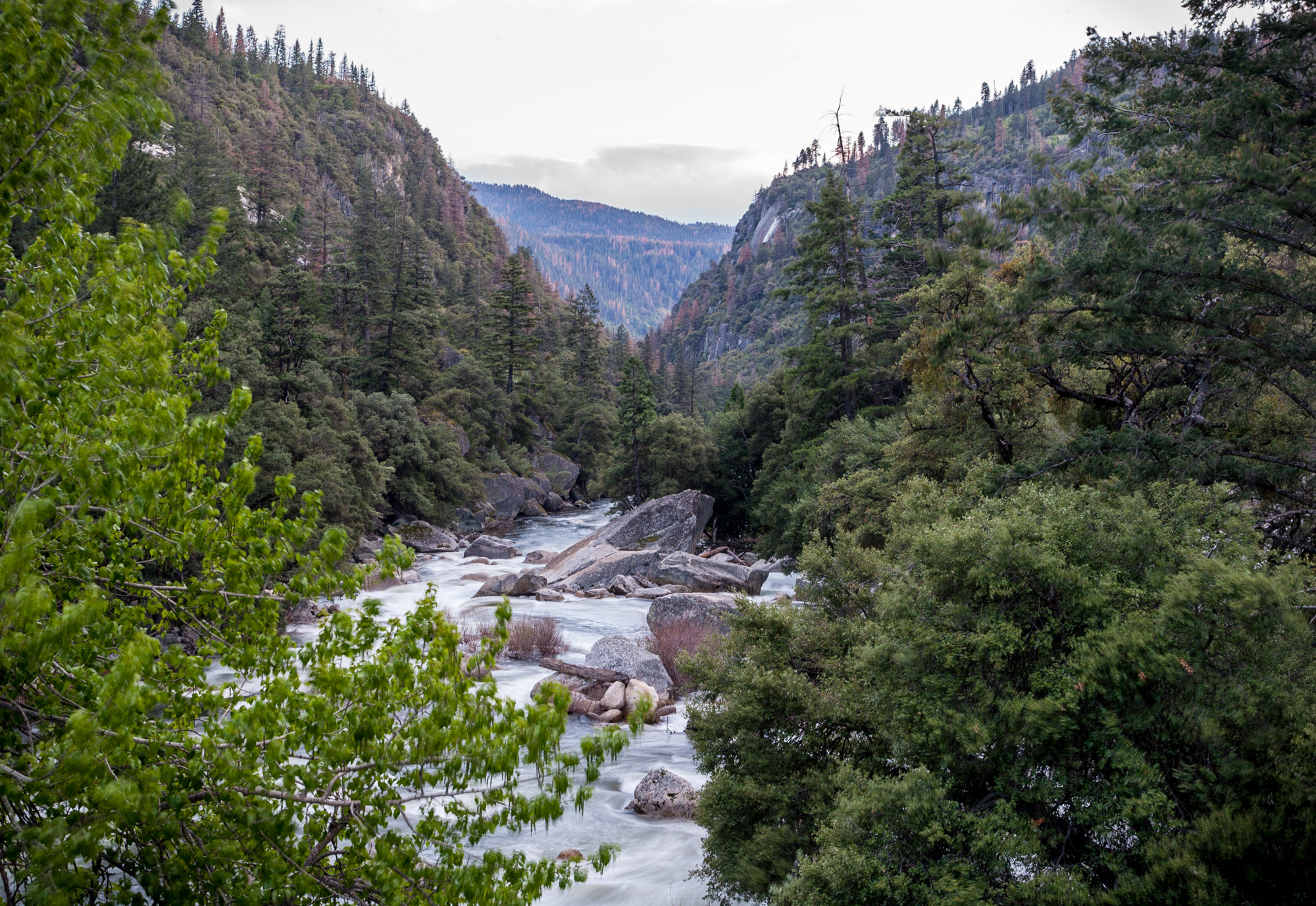 Canon EOS-1D Mark II sample photo. Sierra nevada photography