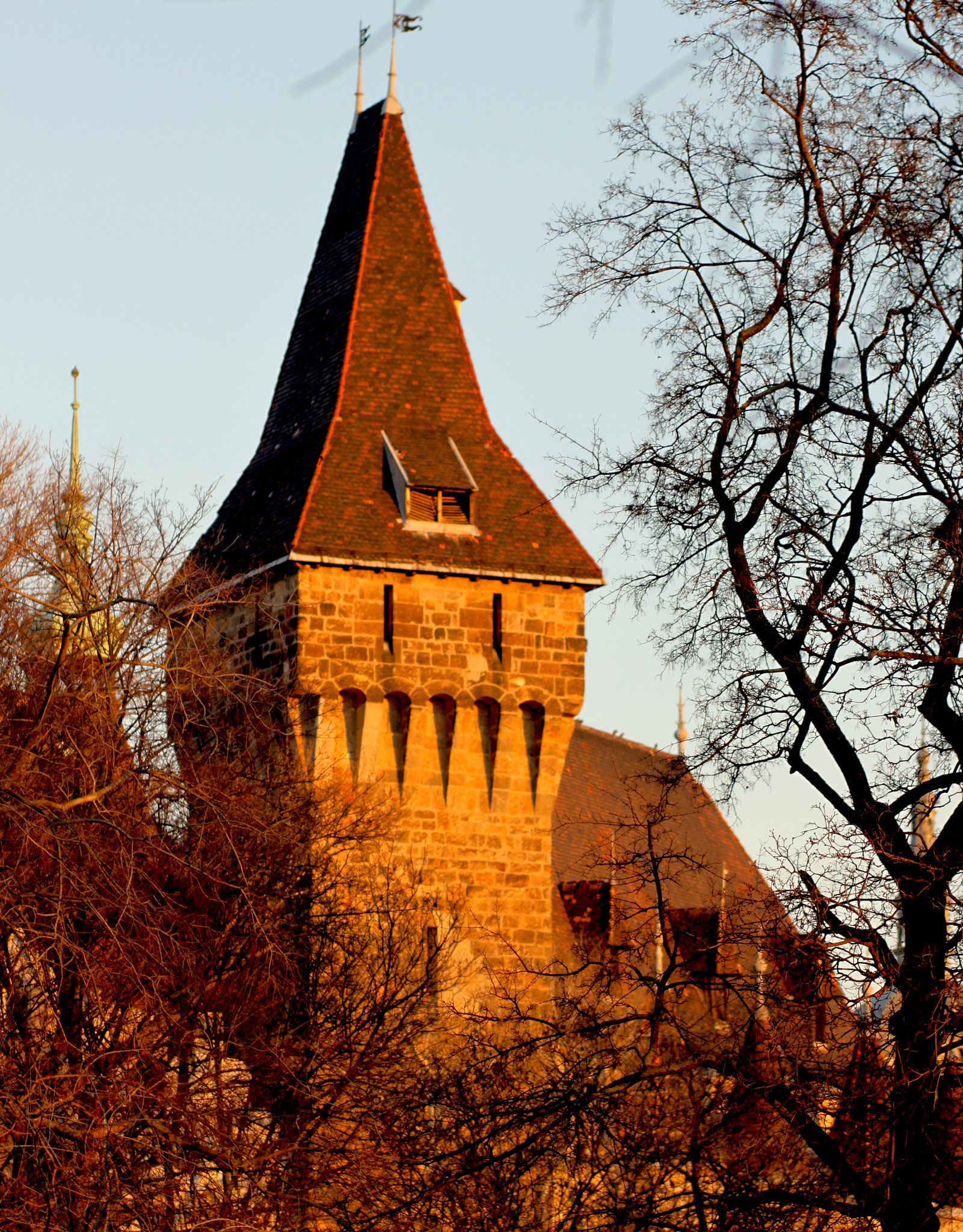 Canon EOS 500D (EOS Rebel T1i / EOS Kiss X3) + Canon EF 85mm F1.8 USM sample photo. Tower above ;) photography