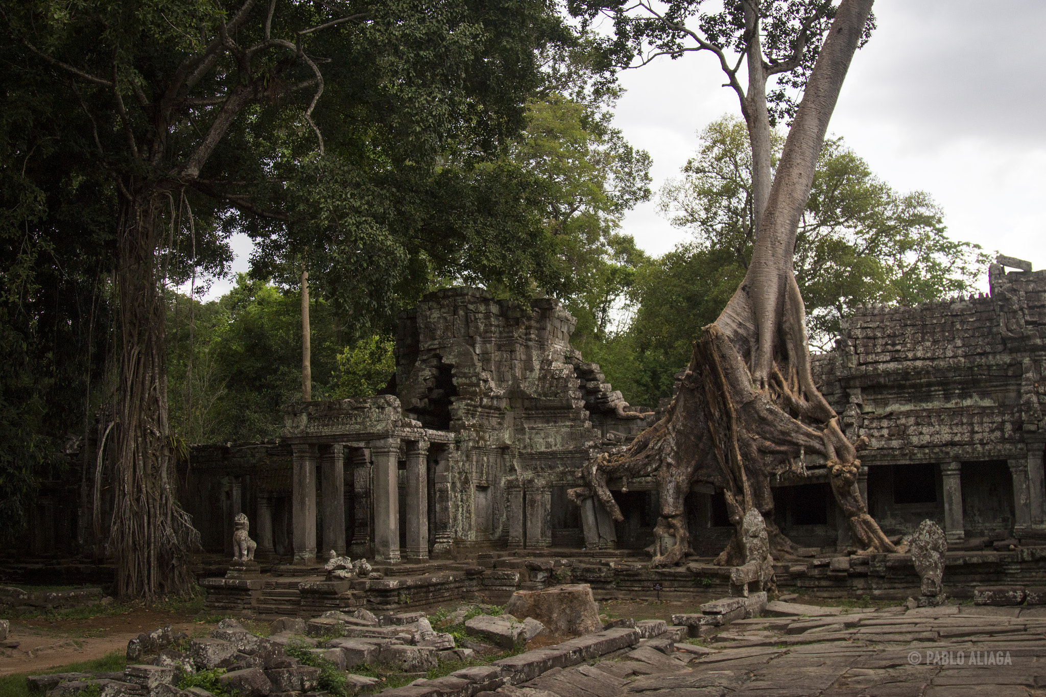 Canon EOS 100D (EOS Rebel SL1 / EOS Kiss X7) + Canon EF 24-105mm F4L IS USM sample photo. Cambodia - ta prohm - angkor - siem reap photography