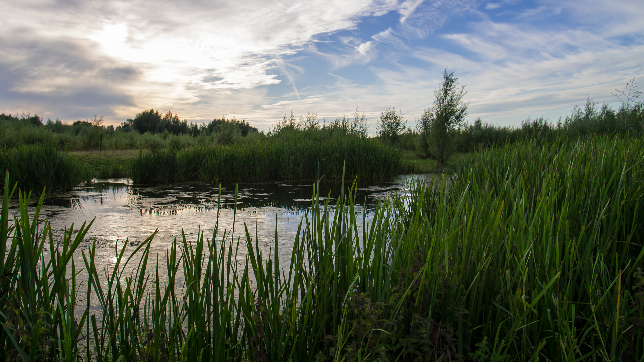 Pentax K-5 sample photo. An evening stroll along river lek photography