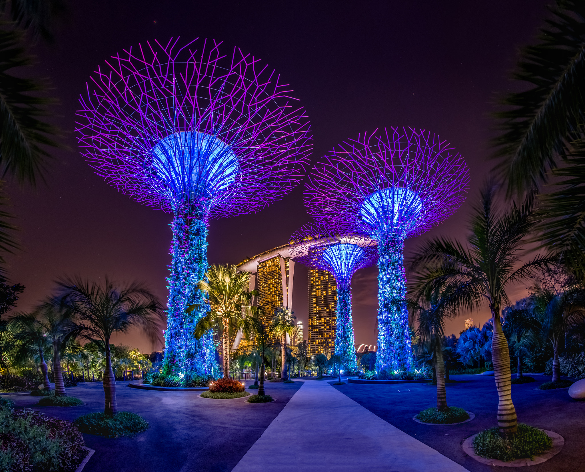 Samyang 12mm F2.8 ED AS NCS Fisheye sample photo. Singapore gardens by the bay photography