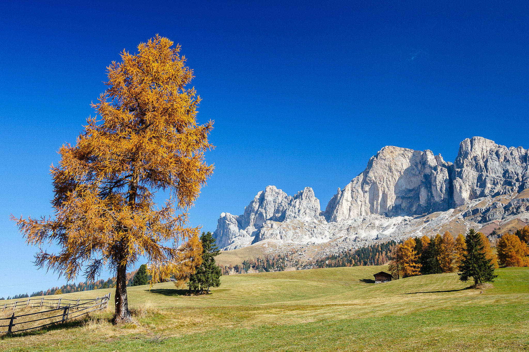 Canon EF 16-35mm F2.8L USM sample photo. Dolomites in autumn photography