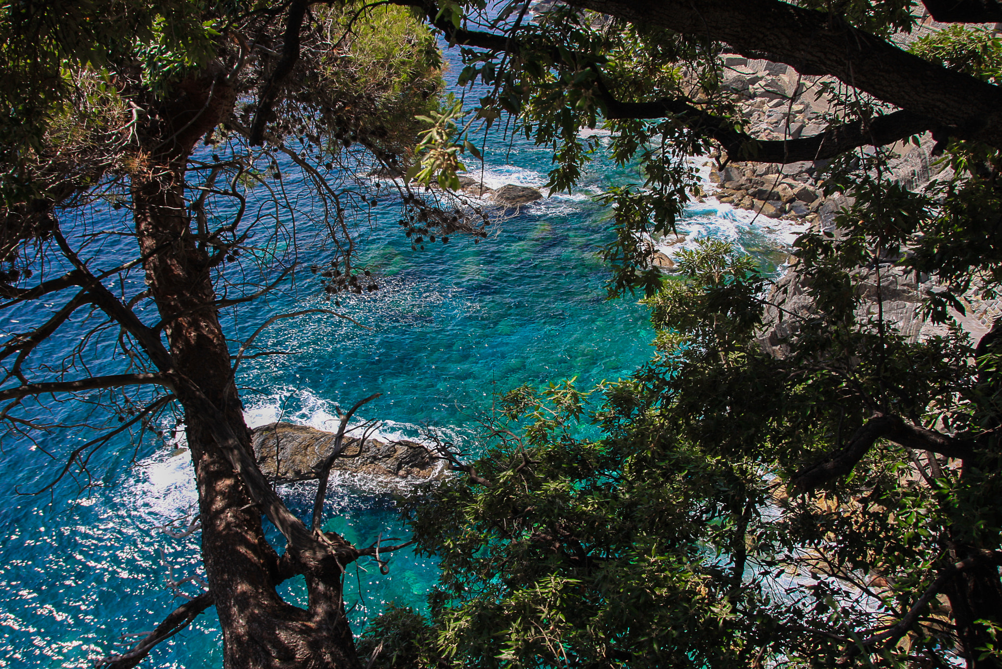Sigma 18-250mm F3.5-6.3 DC OS HSM sample photo. Cinque terre photography