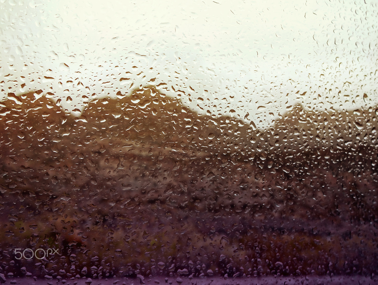 Sony DSC-WX100 sample photo. Summer rain photography