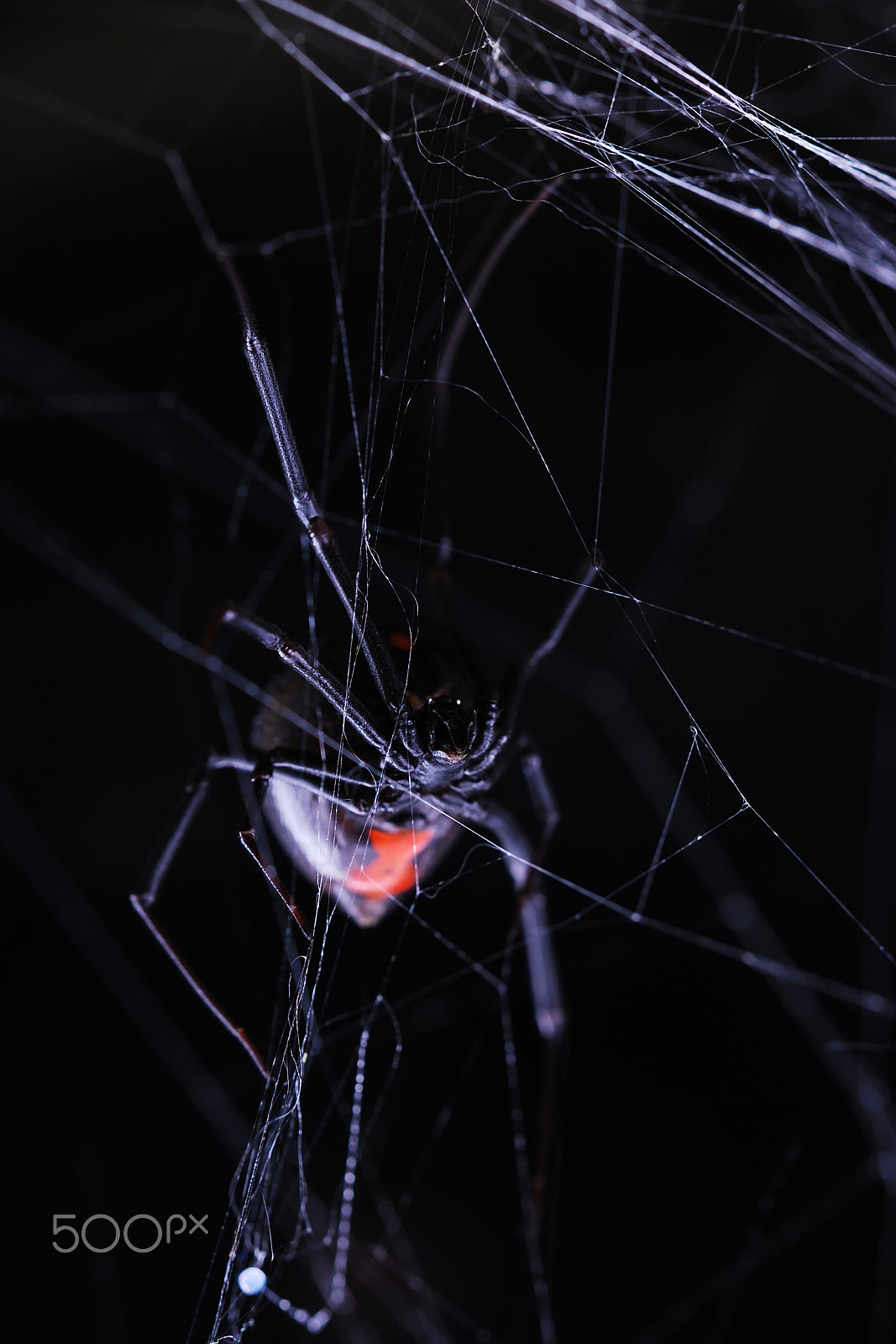 Nikon D80 sample photo. Wraith of time photography