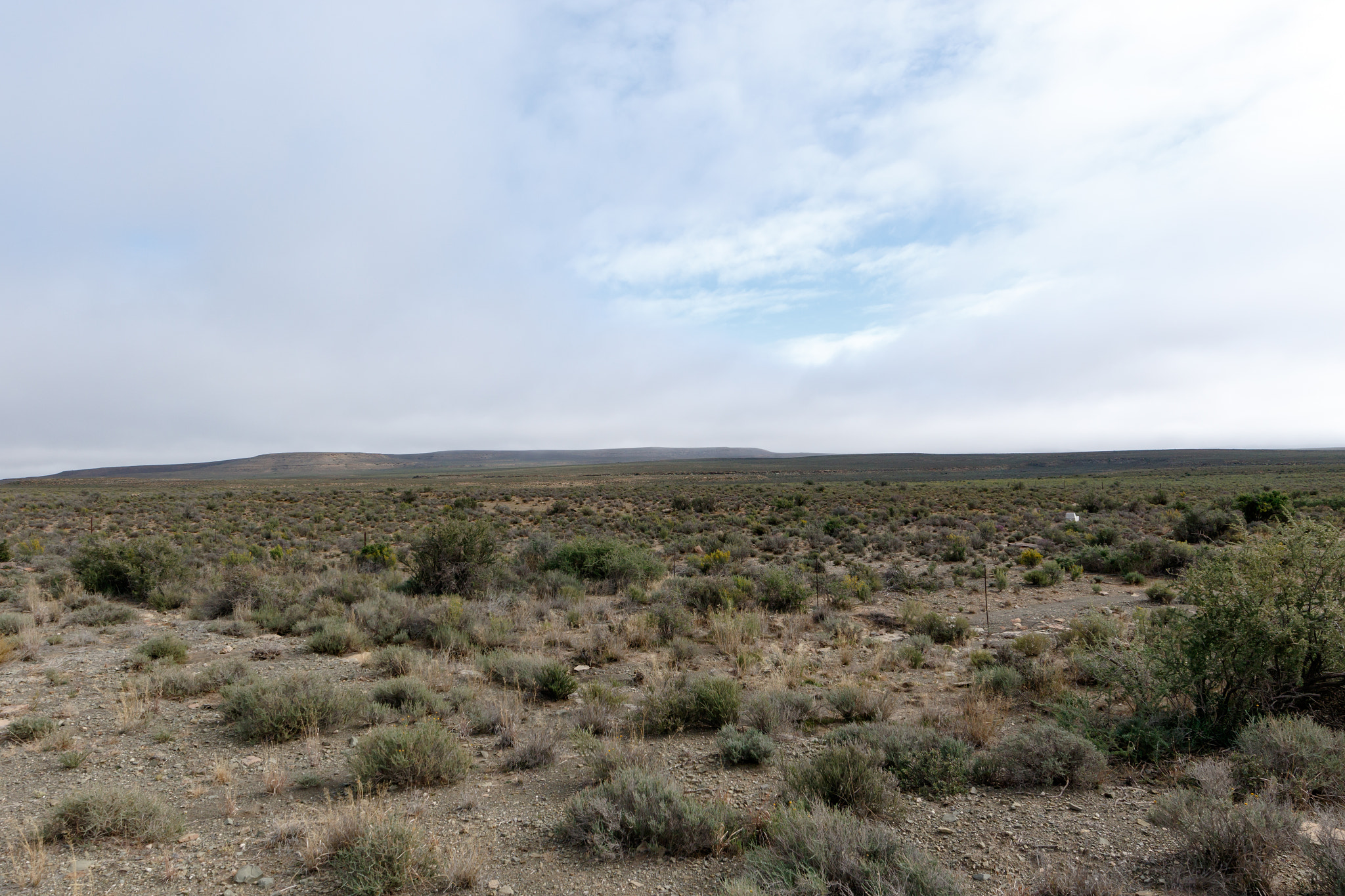 Canon EF 300mm f/2.8L sample photo. In the dry karoo - fraserburg landscape photography