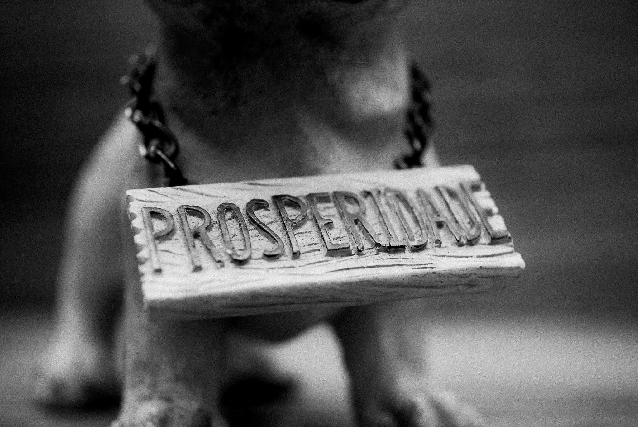 Nikon D200 sample photo. Prosperidade photography