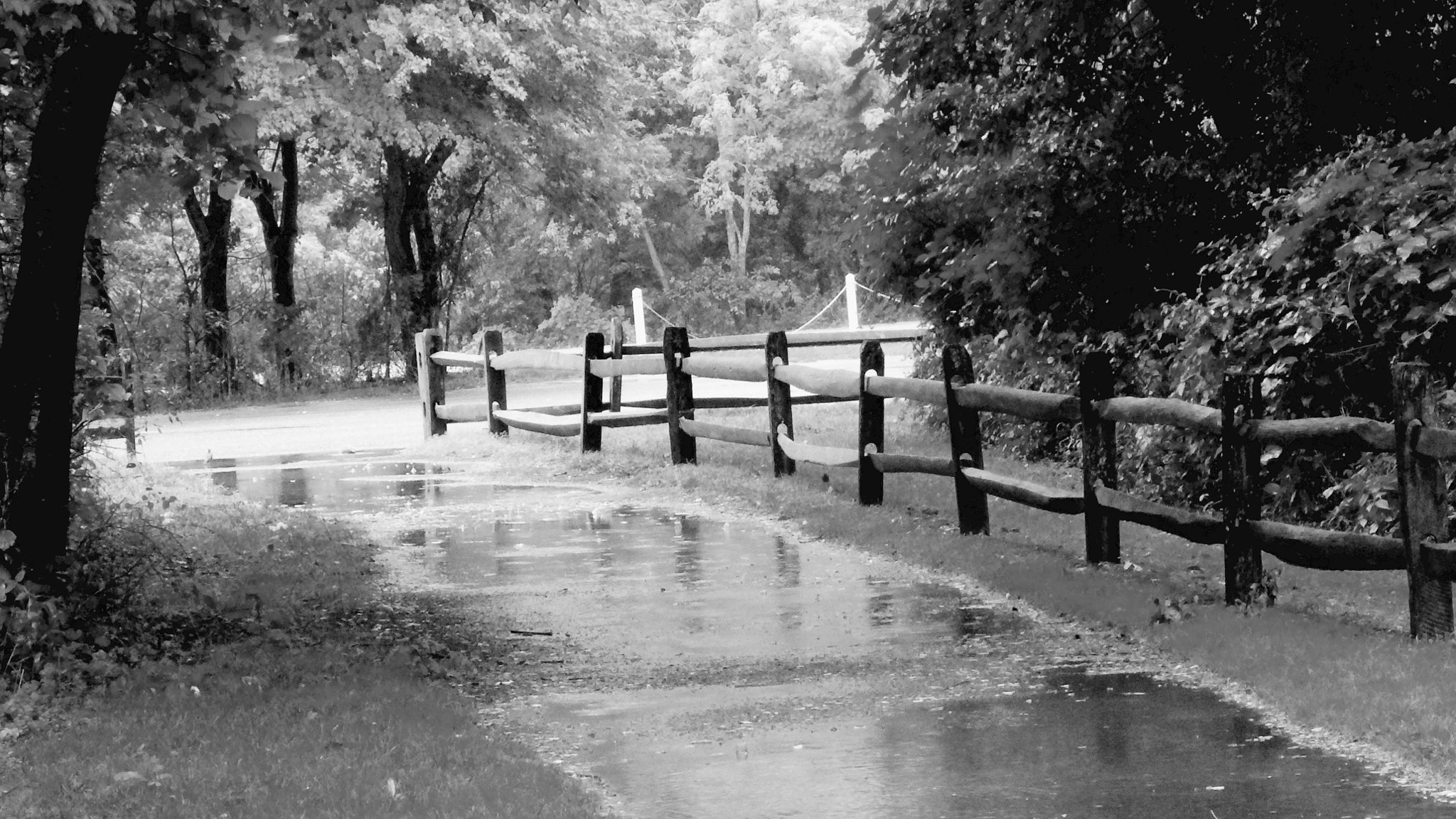 PENTAX RICOH IMAGING PENTAX WG-3 GPS sample photo. Sunday's rain photography