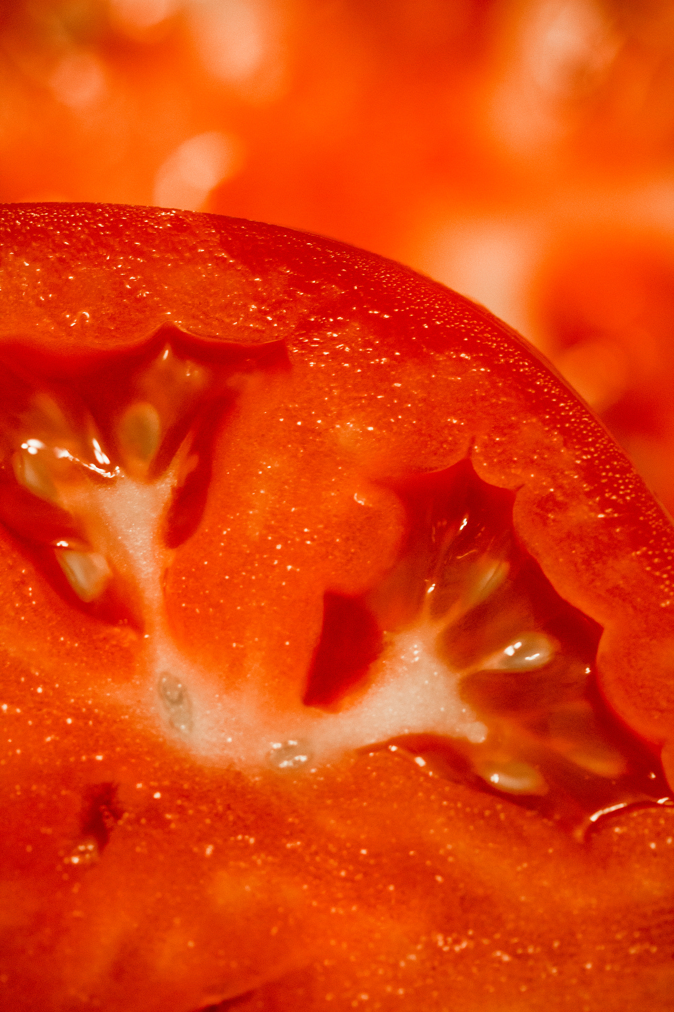 Canon EF-S 60mm F2.8 Macro USM sample photo. Fresh tomatoes photography