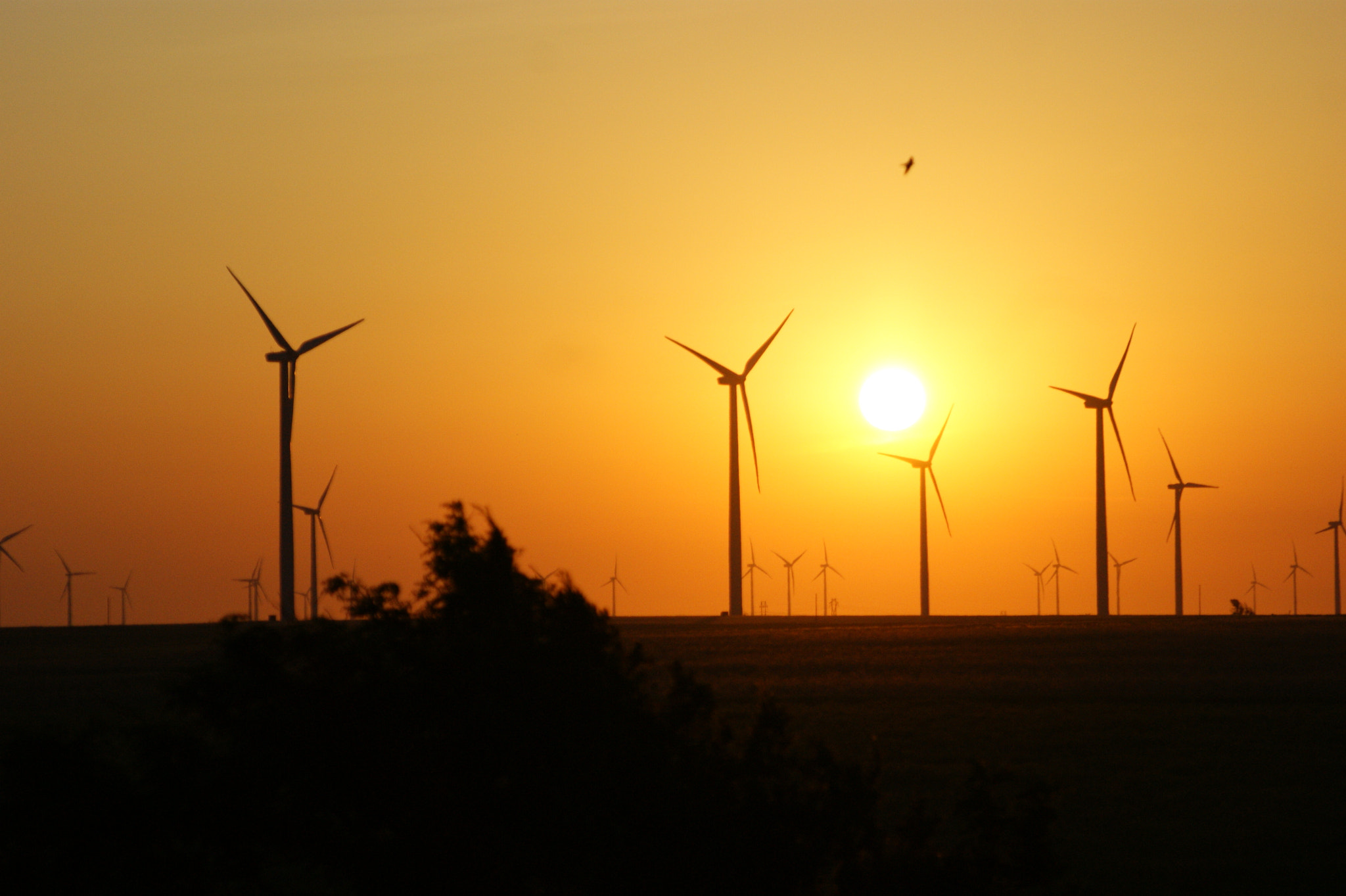 Sony Alpha DSLR-A350 sample photo. Windpower photography