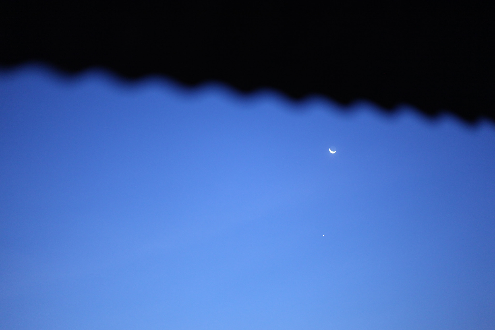 Canon EOS 5D Mark II + Canon EF 50mm F1.8 II sample photo