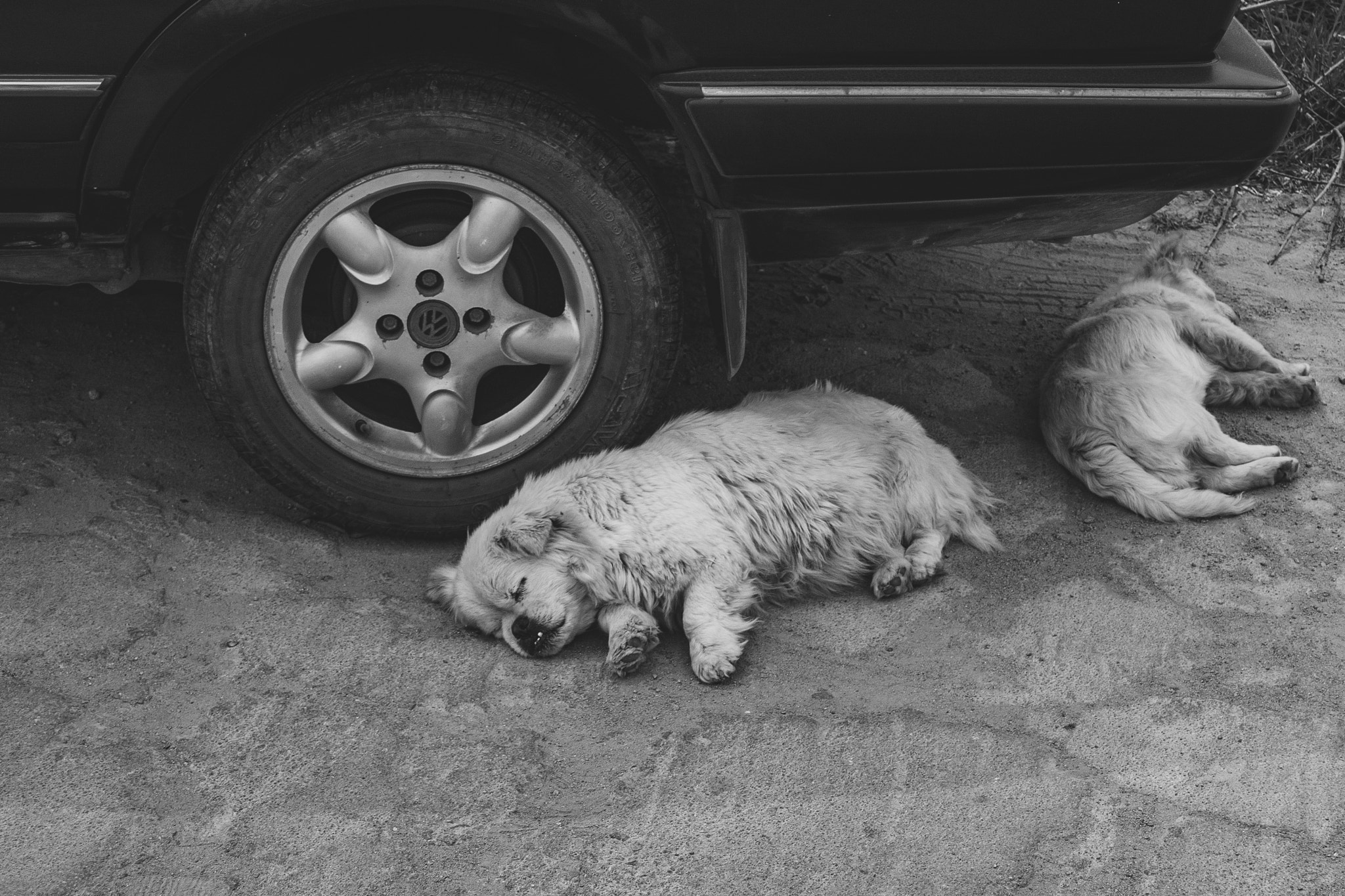 Canon EOS 40D sample photo. Fake traffic accident fraud(peng-ci) photography