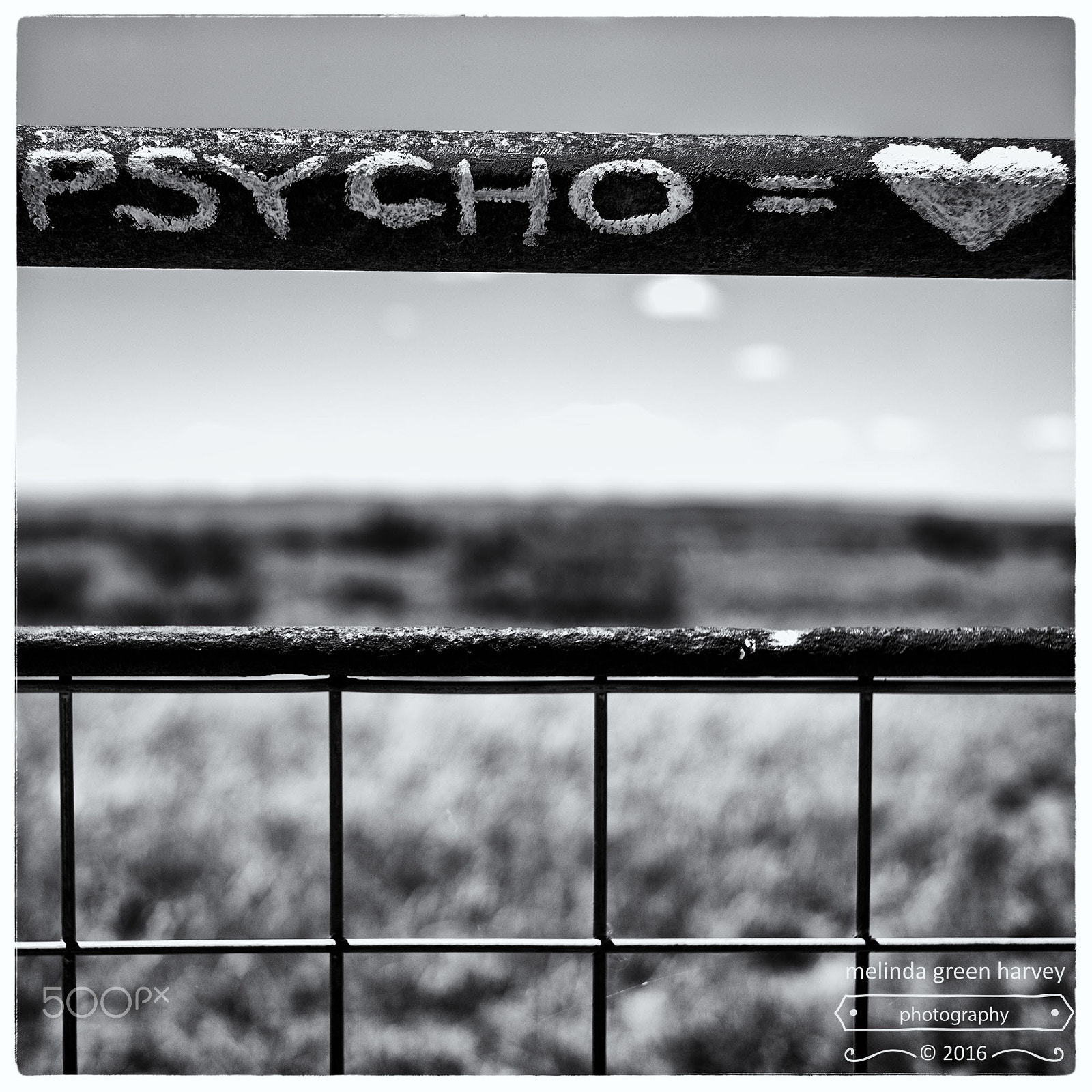 Summicron-M 1:2/35 ASPH. sample photo. Psycho heart photography