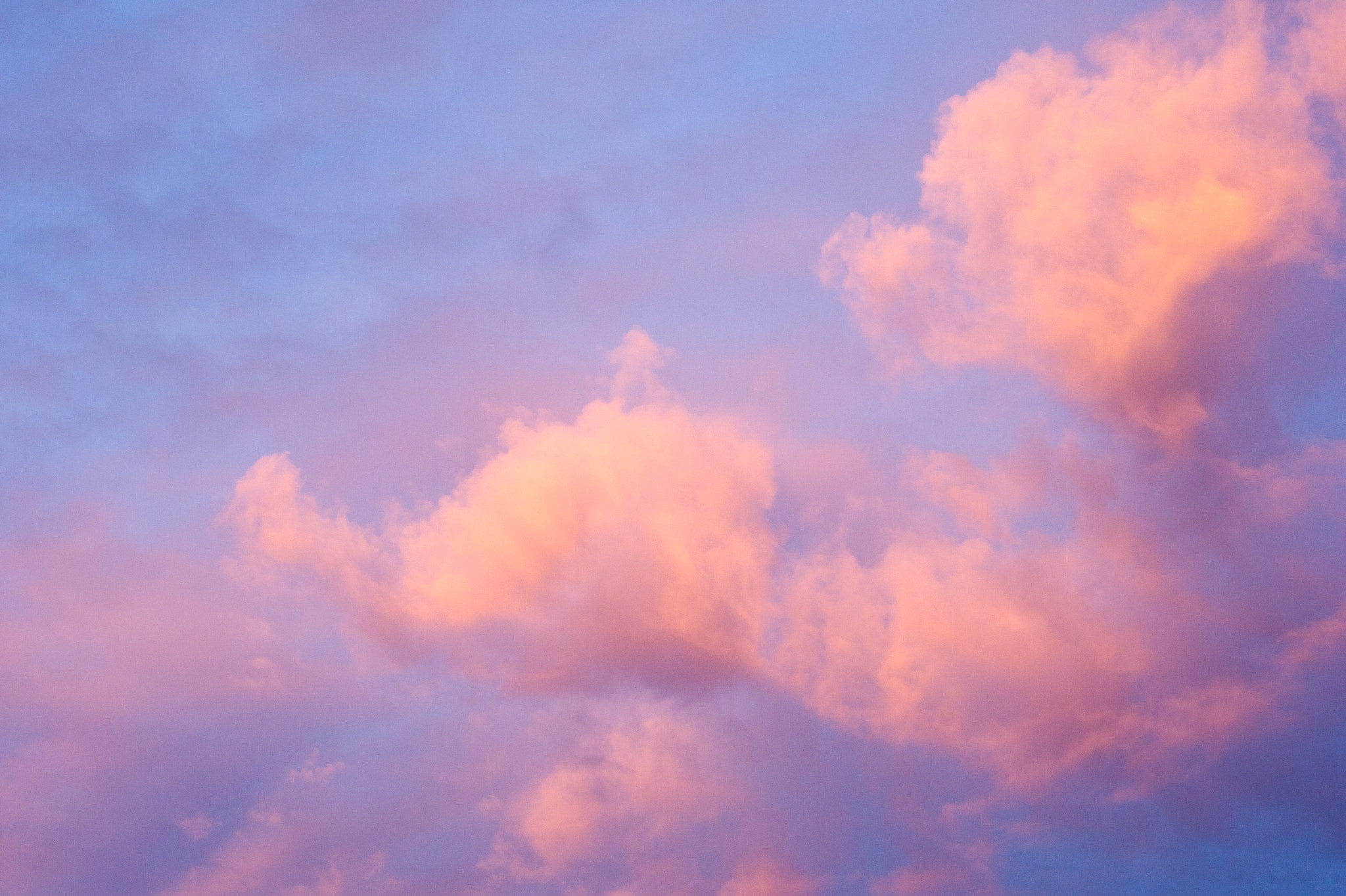 Panasonic Lumix DMC-GH2 + Olympus M.Zuiko Digital 45mm F1.8 sample photo. November clouds, taipei photography