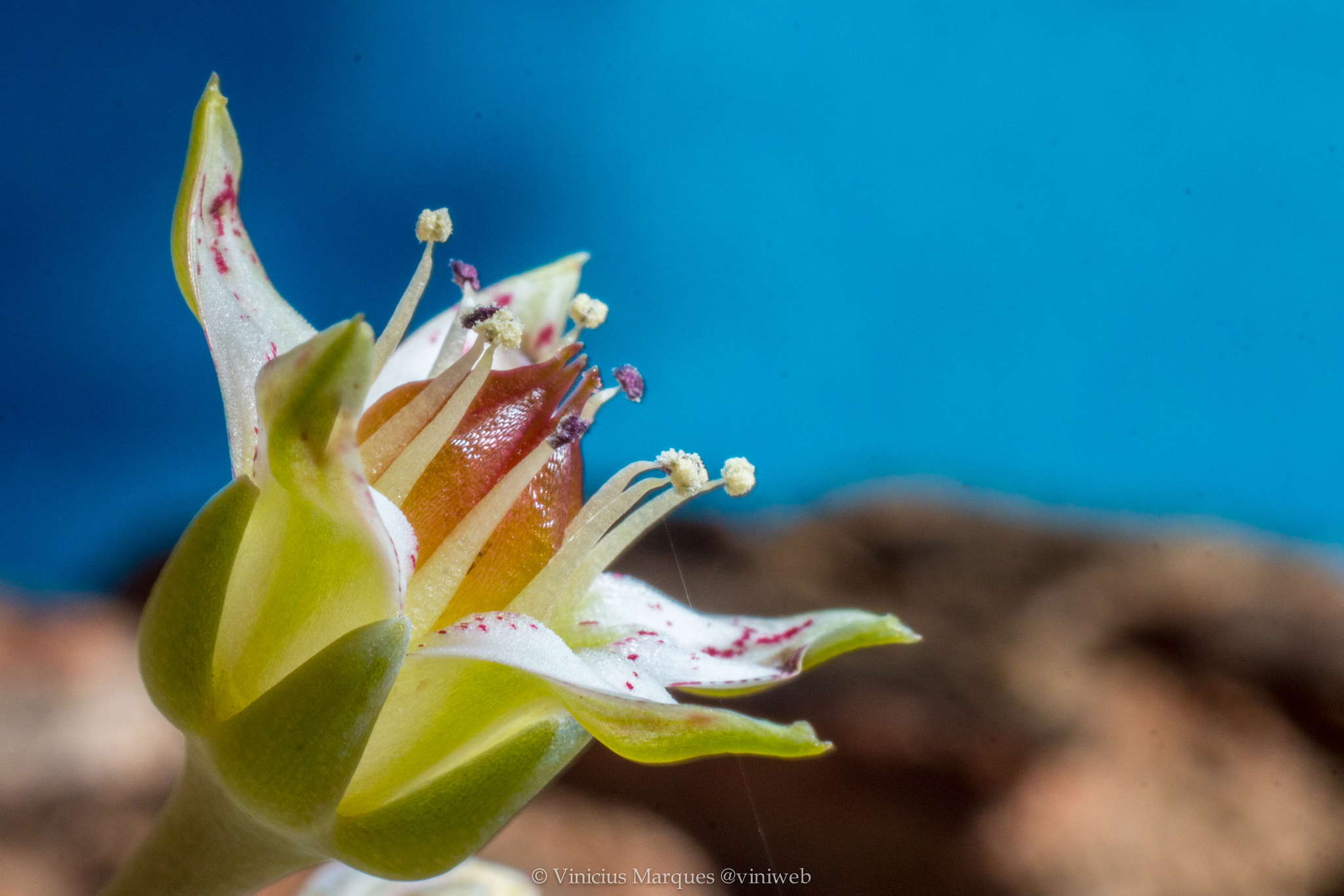 Canon EF 40mm F2.8 STM sample photo. 28295473011.jpg photography