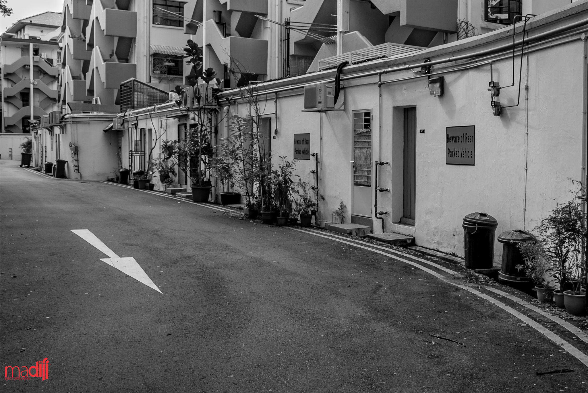 Nikon D40X sample photo. Arrow photography