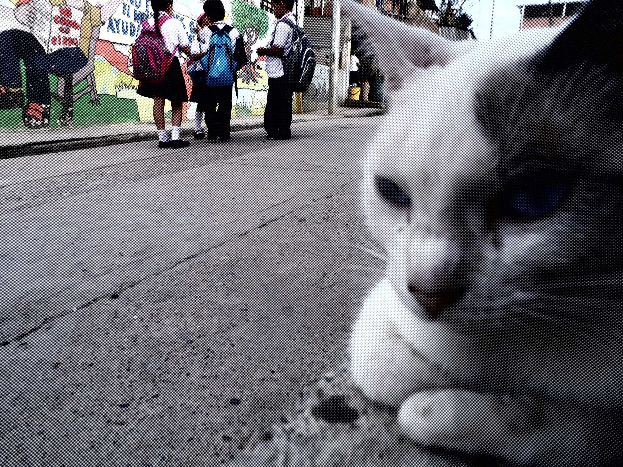 Samsung MV800 sample photo. Espacios photography