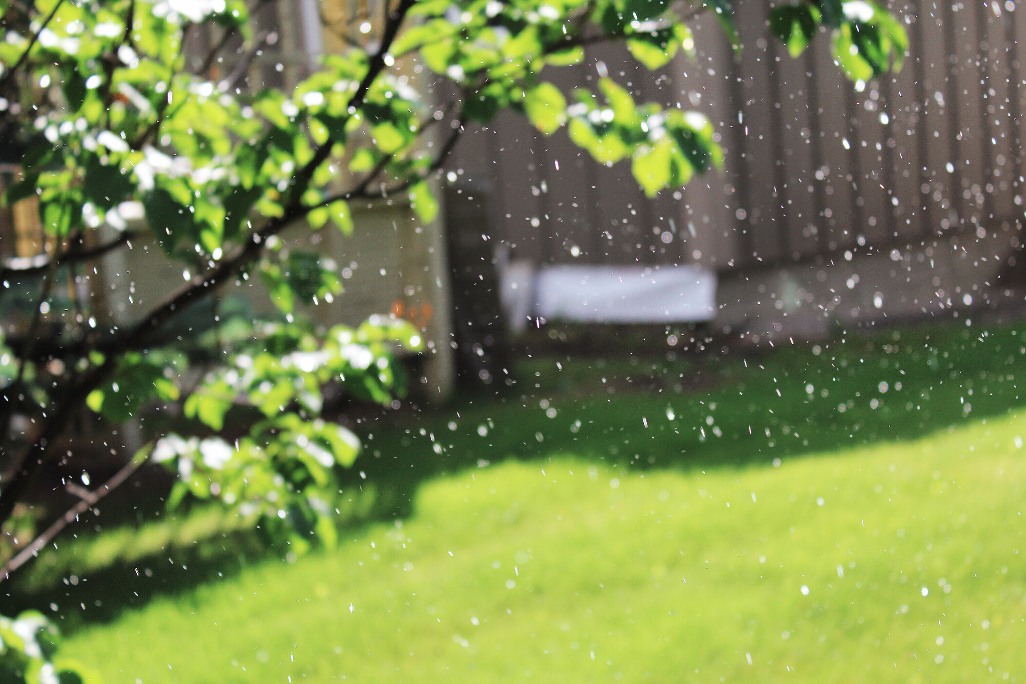 Canon EF-S 18-55mm F3.5-5.6 III sample photo. Rain from above photography