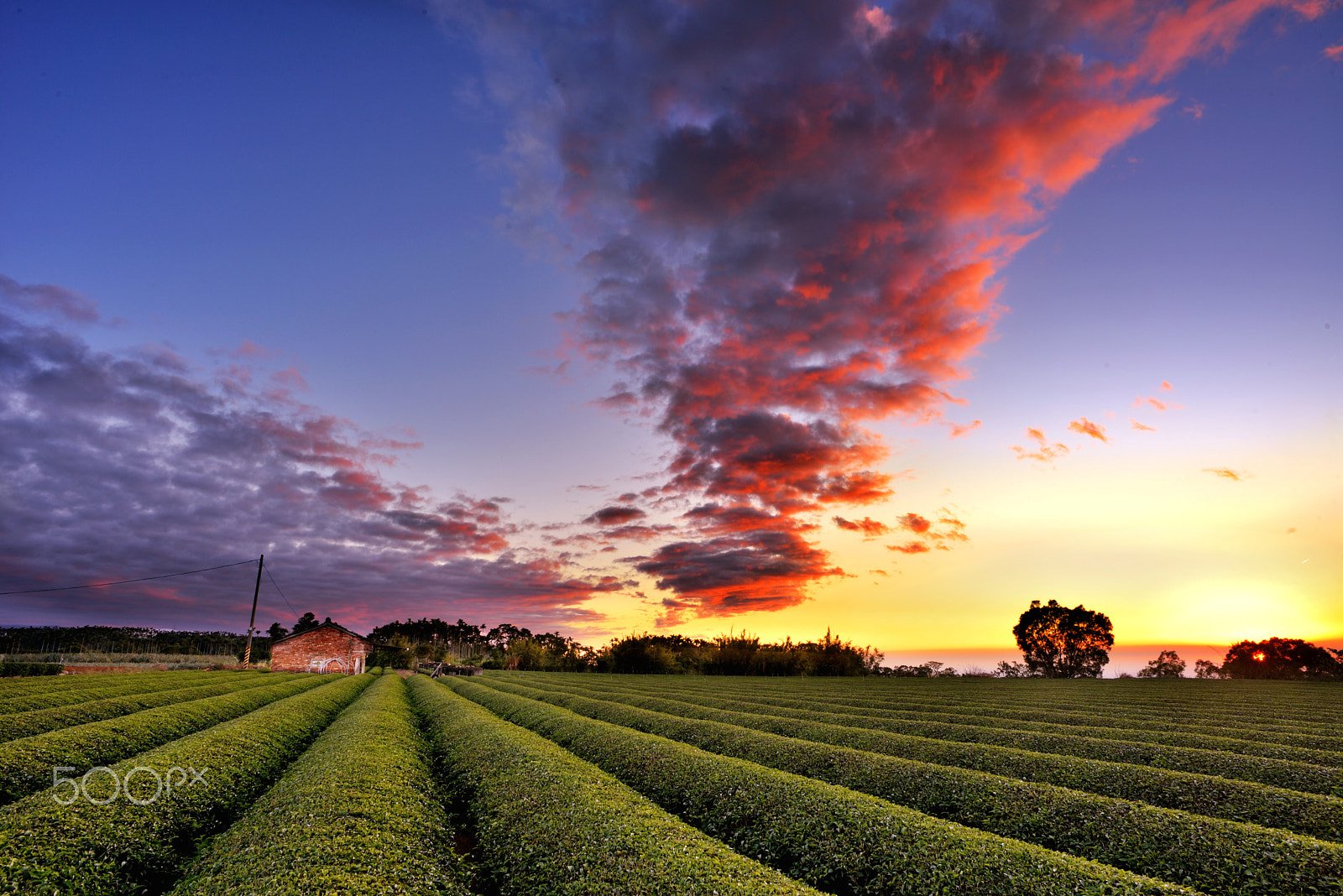 Nikon D610 + Nikon AF Nikkor 20mm F2.8D sample photo. Sunset photography