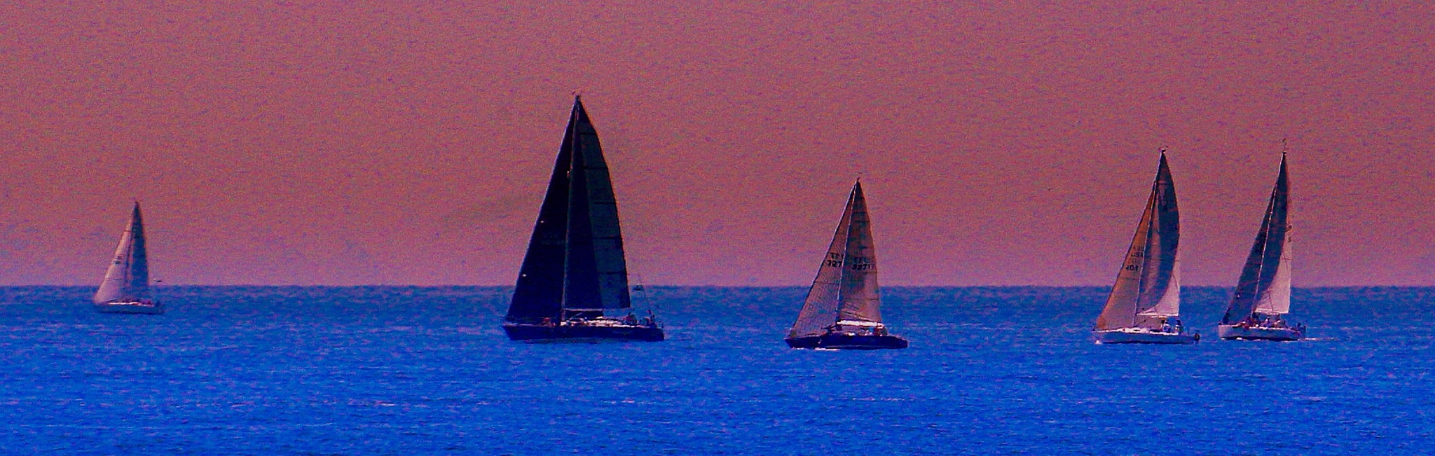 Canon EF 70-300mm F4-5.6L IS USM sample photo. Painterly photography