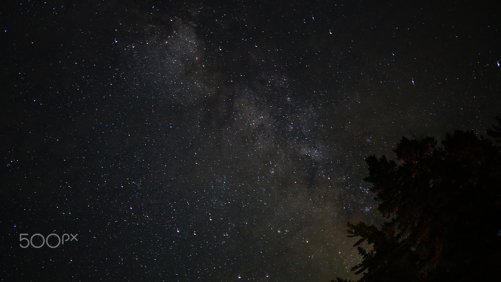 Sony a6000 + ZEISS Touit 32mm F1.8 sample photo. A sky full of stars photography