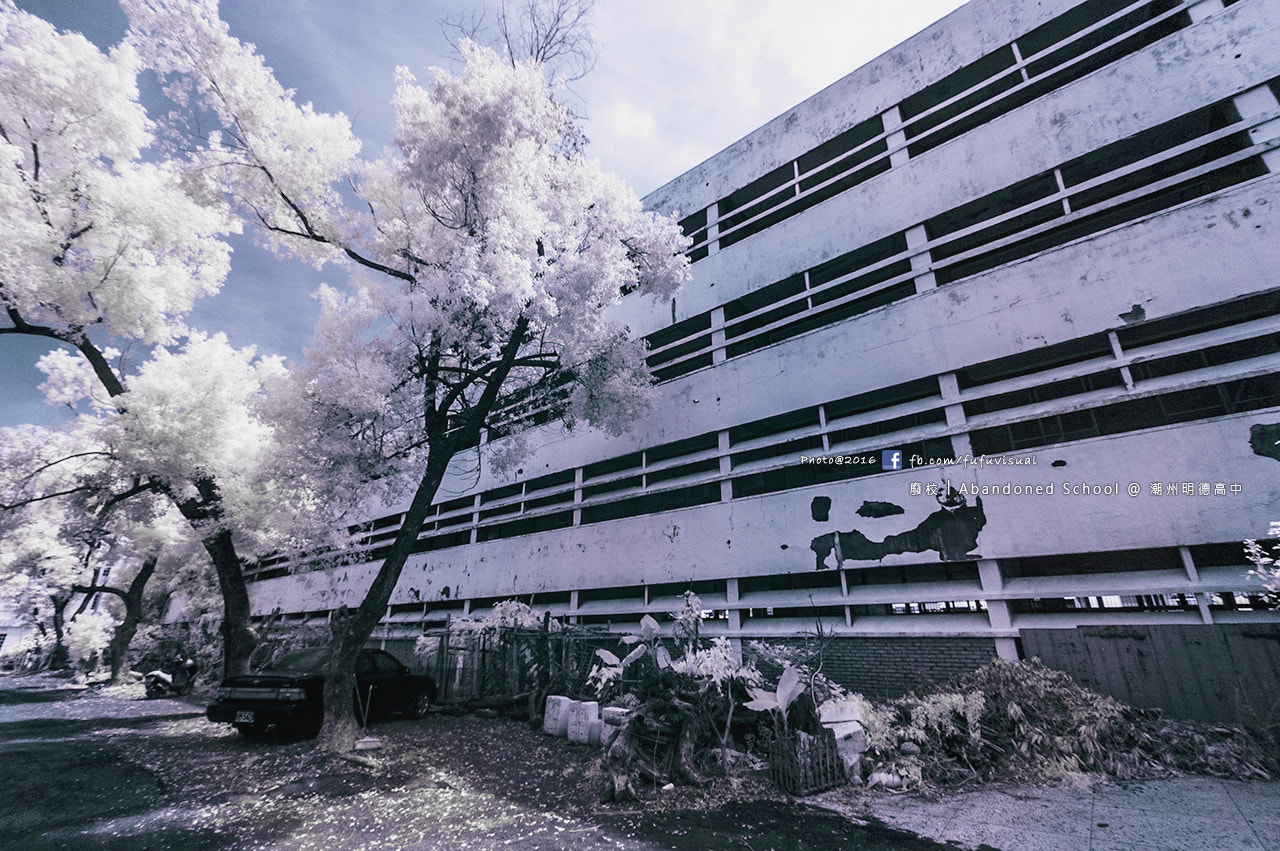 Nikon D70s sample photo. 廢校 abandoned school @ 潮州明德高中 photography