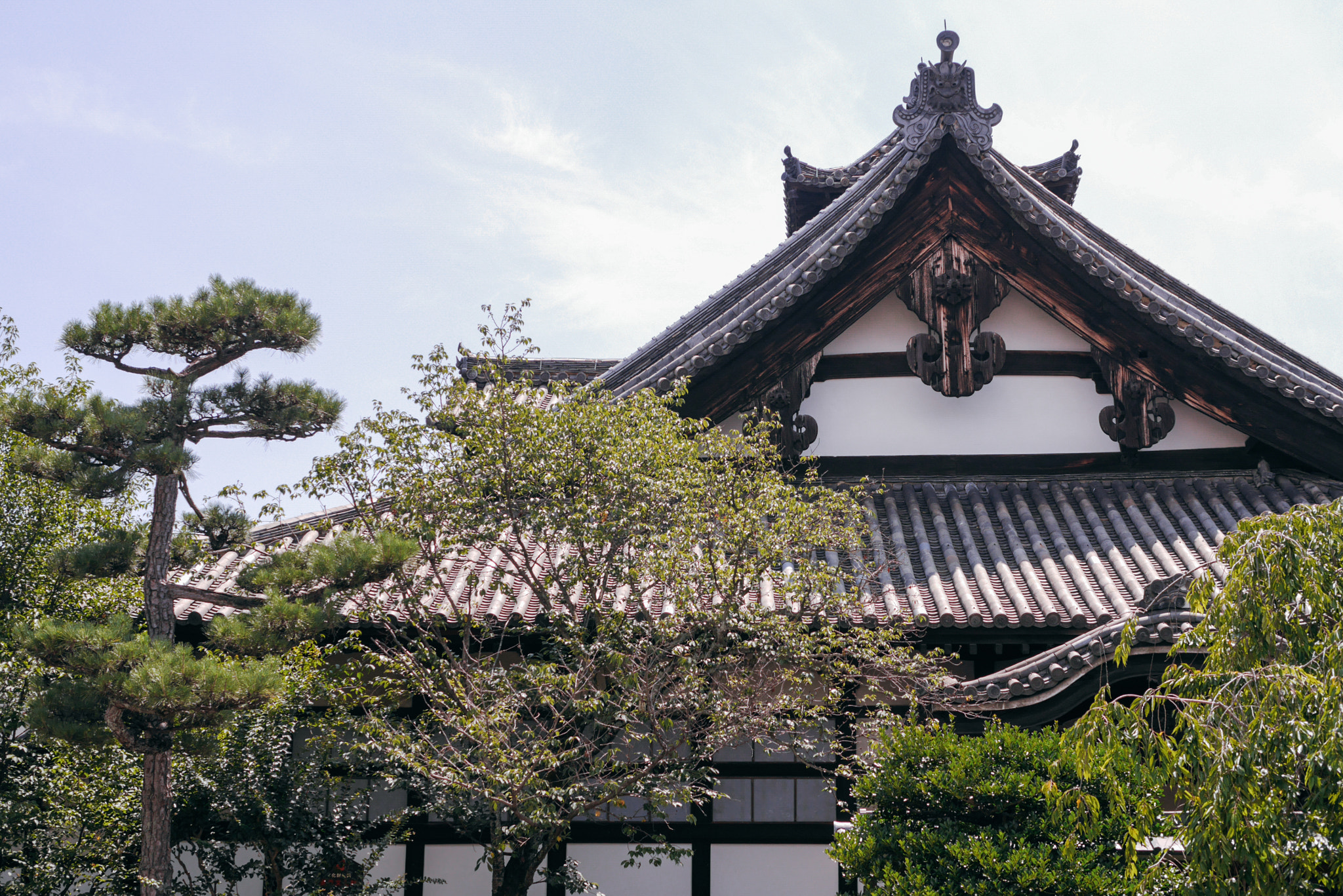 Panasonic Lumix DMC-GX7 + Panasonic Leica DG Summilux 25mm F1.4 II ASPH sample photo. Kyoto, japan photography