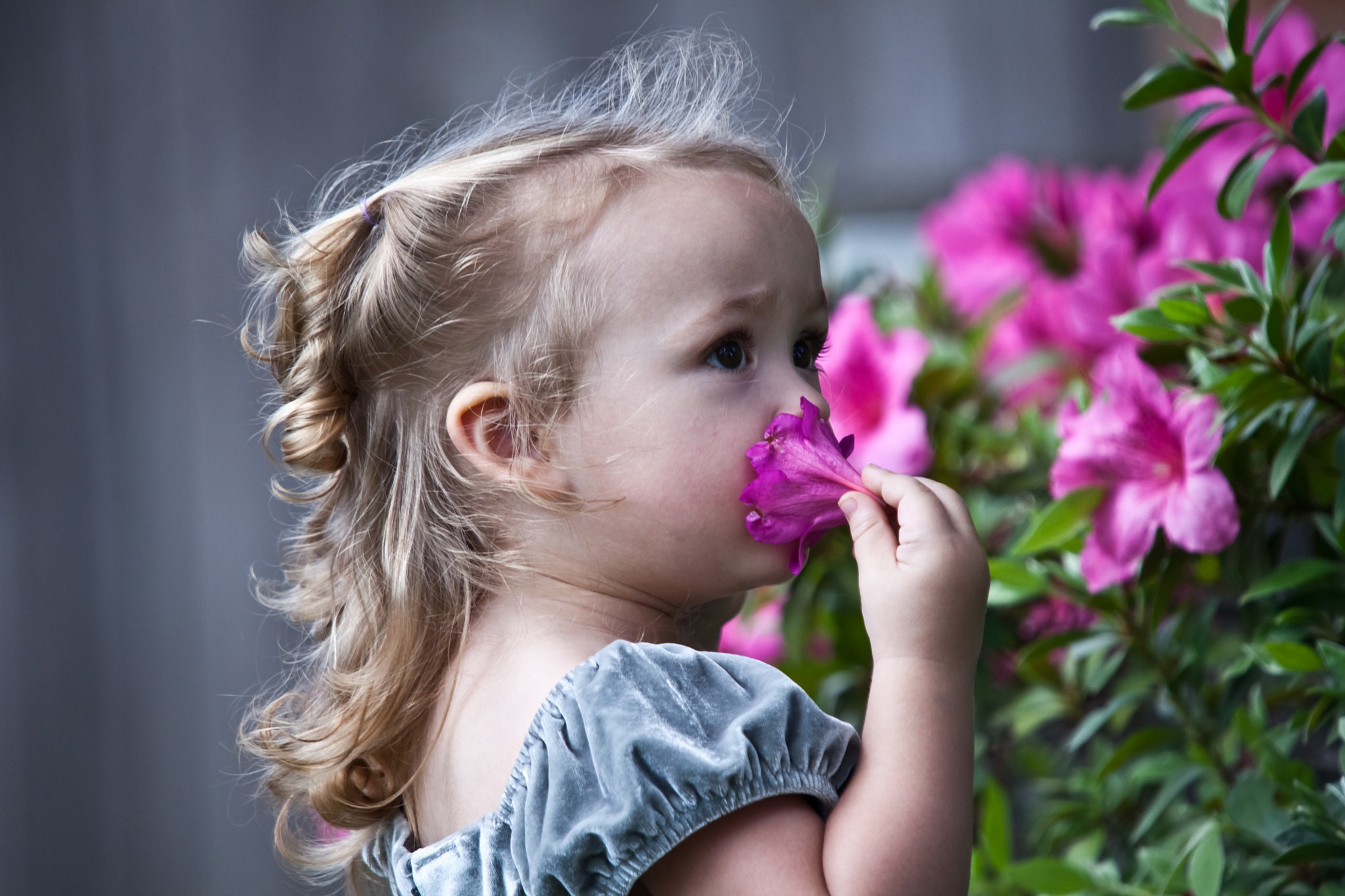 Sigma 50-500mm f/4-6.3 APO HSM EX sample photo. Childhood innocence photography