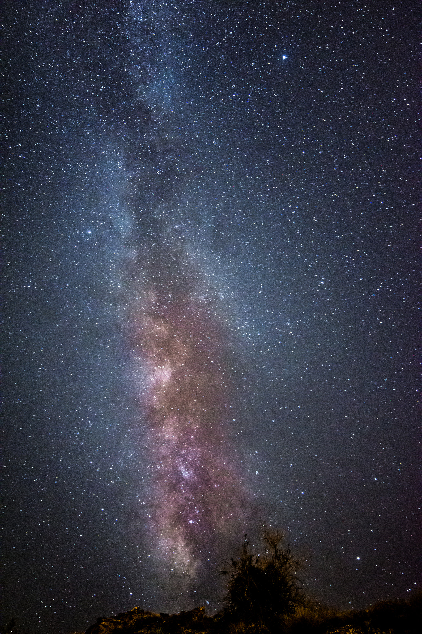Samyang 14mm F2.8 ED AS IF UMC sample photo. Desert milky way photography