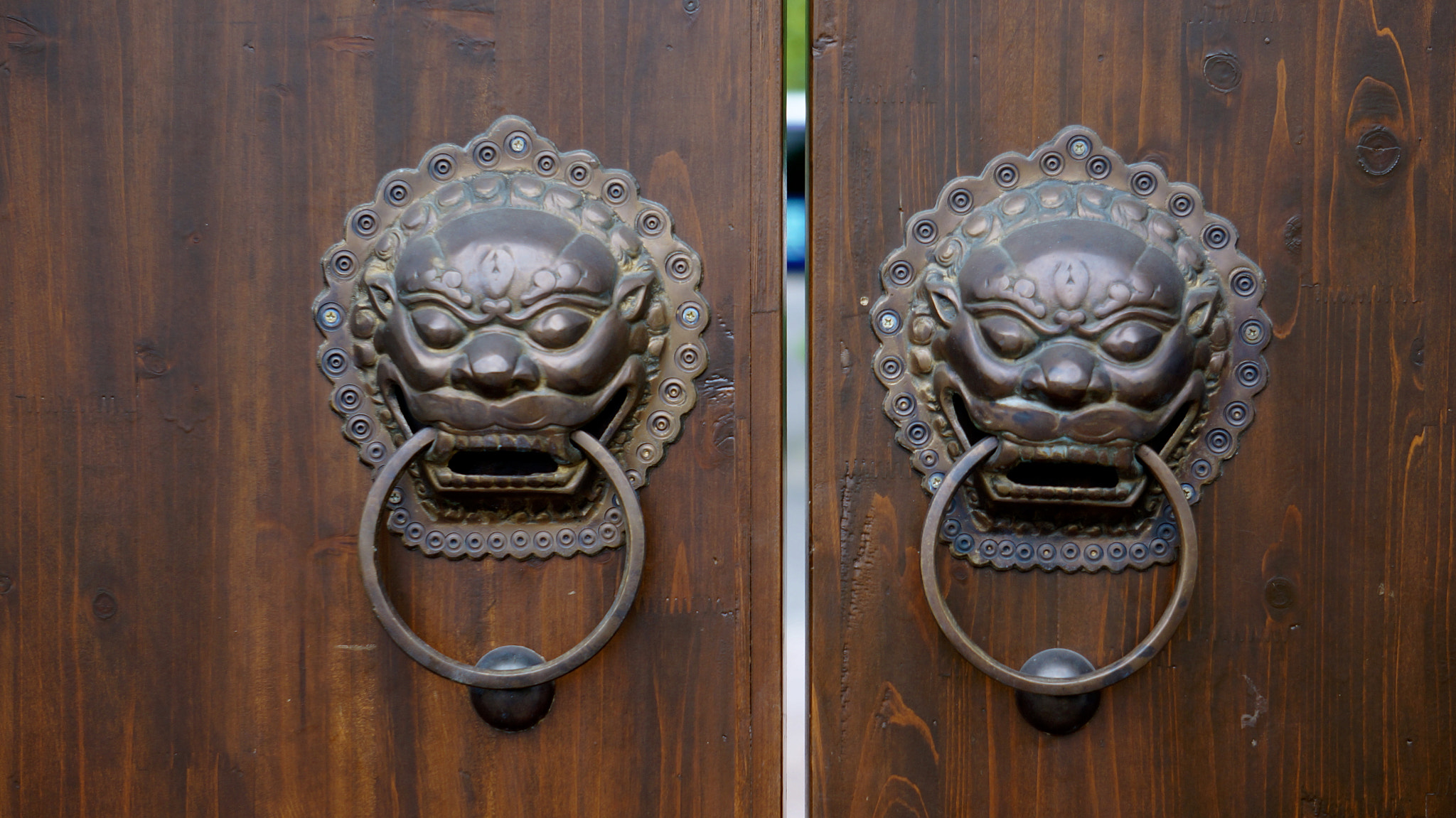 Sony Alpha NEX-6 + Sony E 55-210mm F4.5-6.3 OSS sample photo. A gate and its door photography