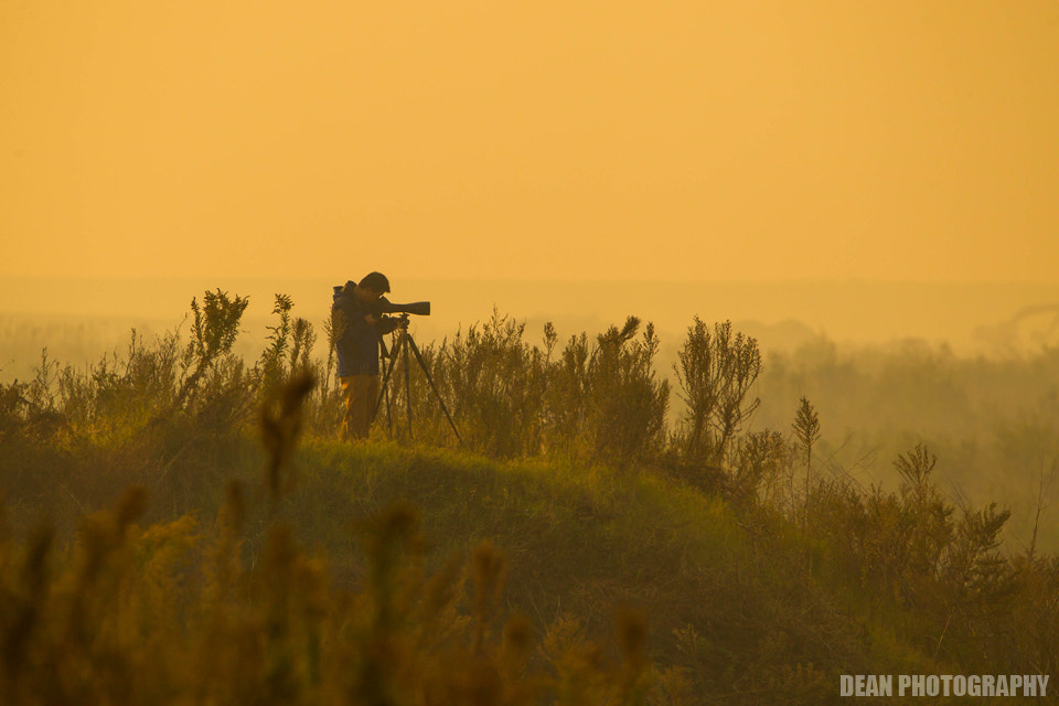 Canon EOS-1D Mark IV sample photo. Birder photography