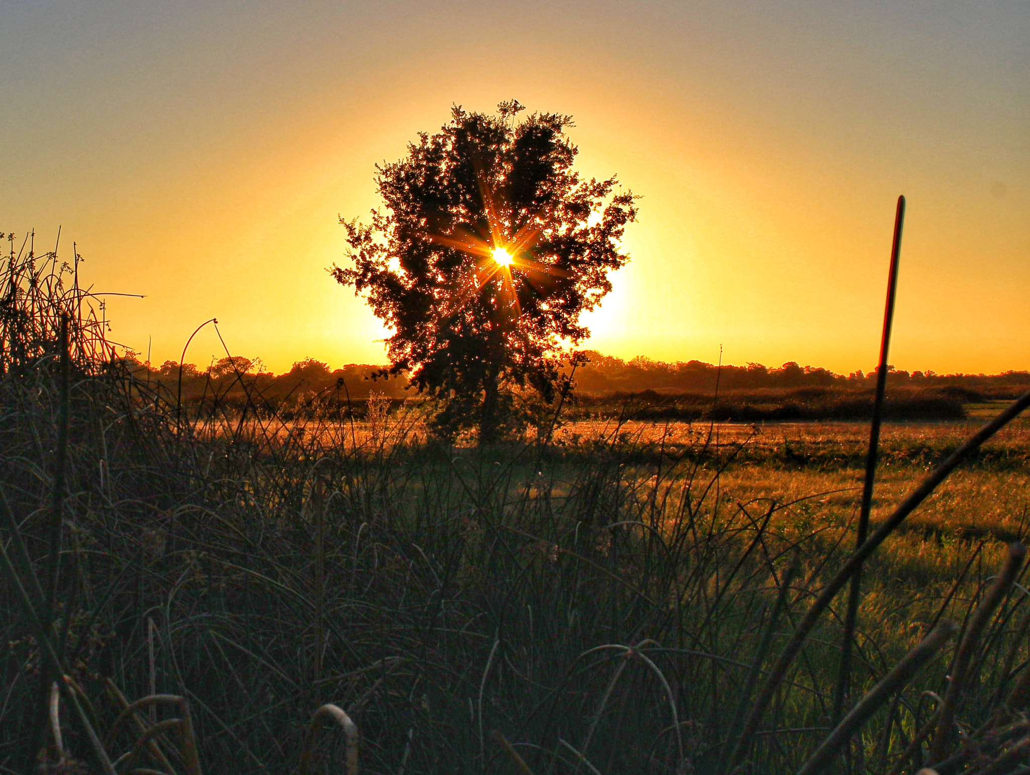 Canon EF-S 18-55mm F3.5-5.6 IS II sample photo. Sunset at the consumnes river preserve photography