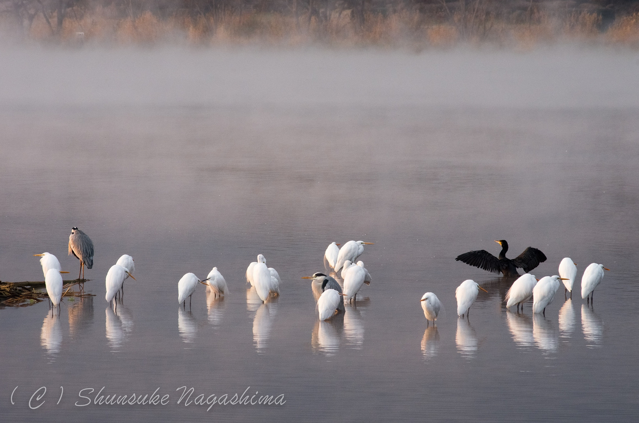 Pentax K-5 IIs sample photo. Endured the cold photography