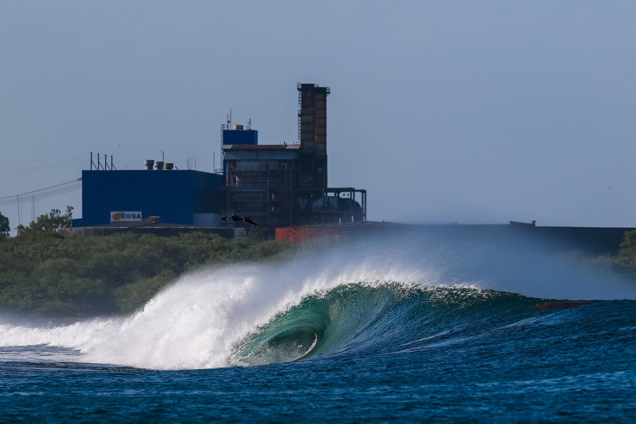 Canon EF 300mm F2.8L IS USM sample photo. Nica waves photography