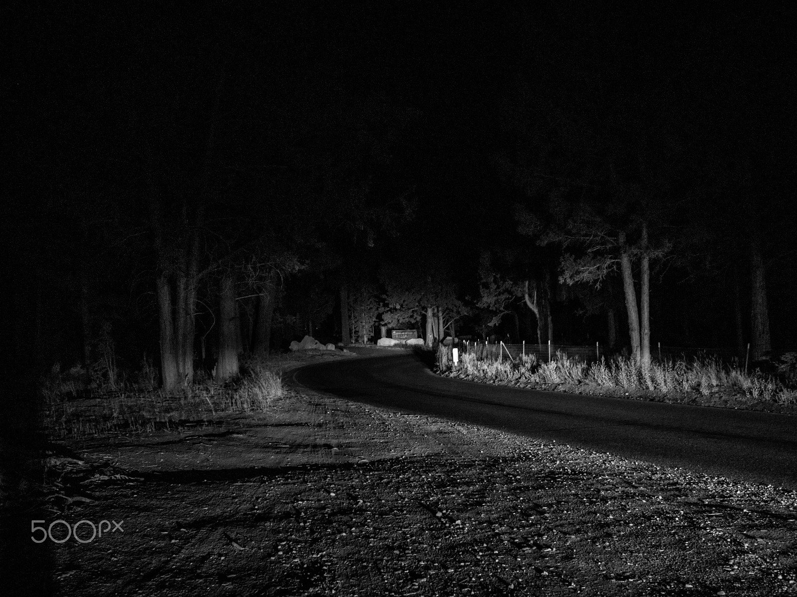 Olympus PEN E-PM1 sample photo. Night road photography