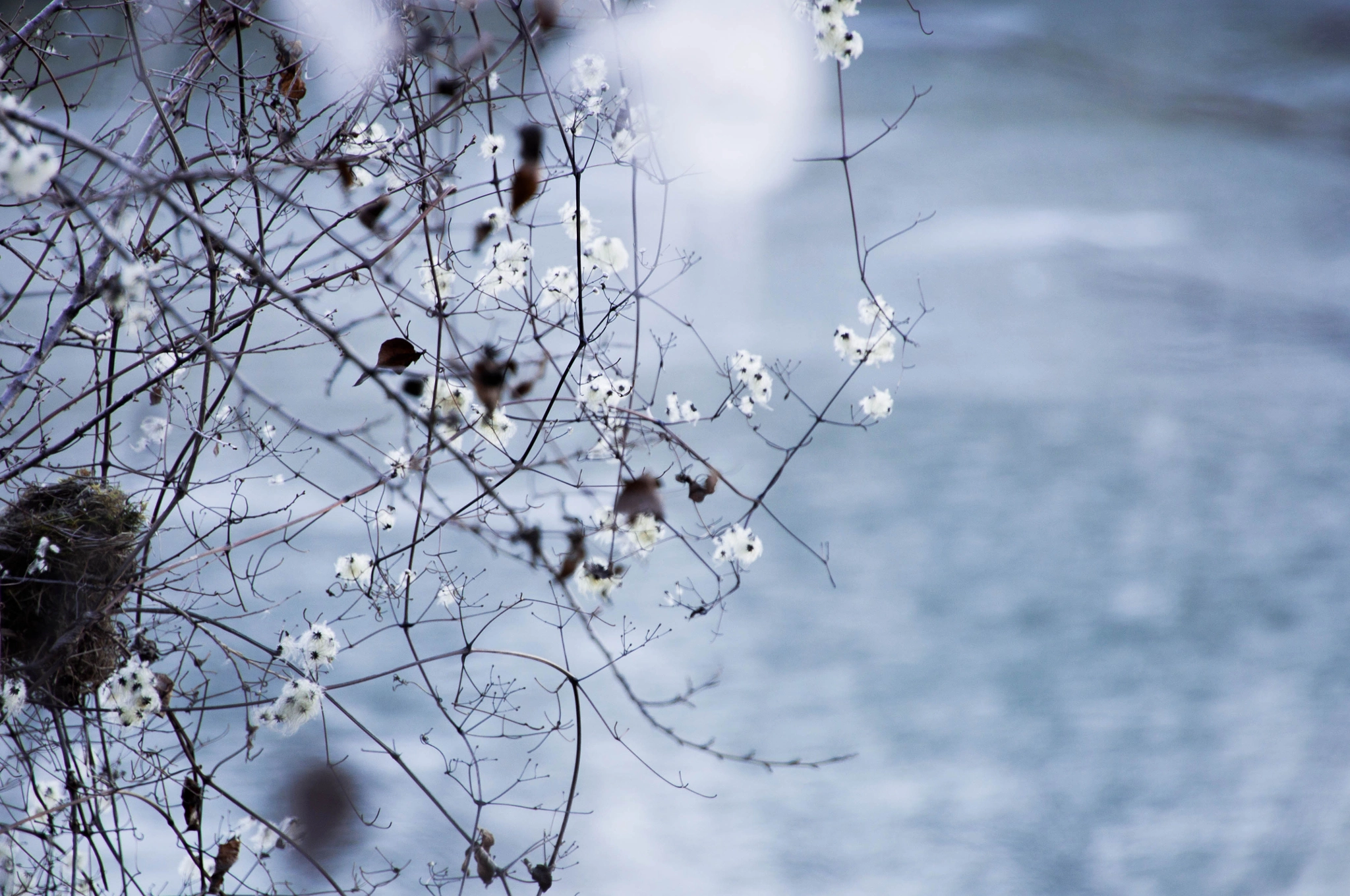 Nikon D5000 sample photo. Spring photography