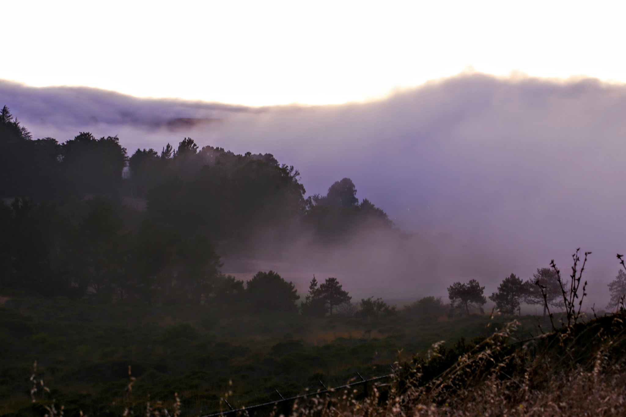 Canon EF 70-300mm F4-5.6L IS USM sample photo