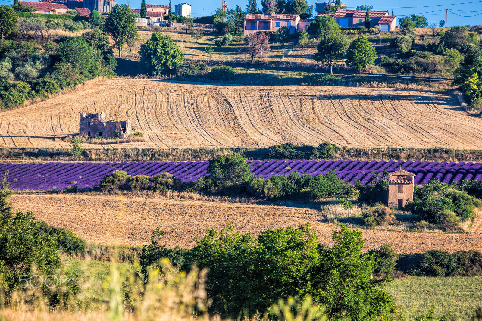 Canon EF 100-400mm F4.5-5.6L IS USM sample photo. Puimoisson village with lavender field in provence, france photography