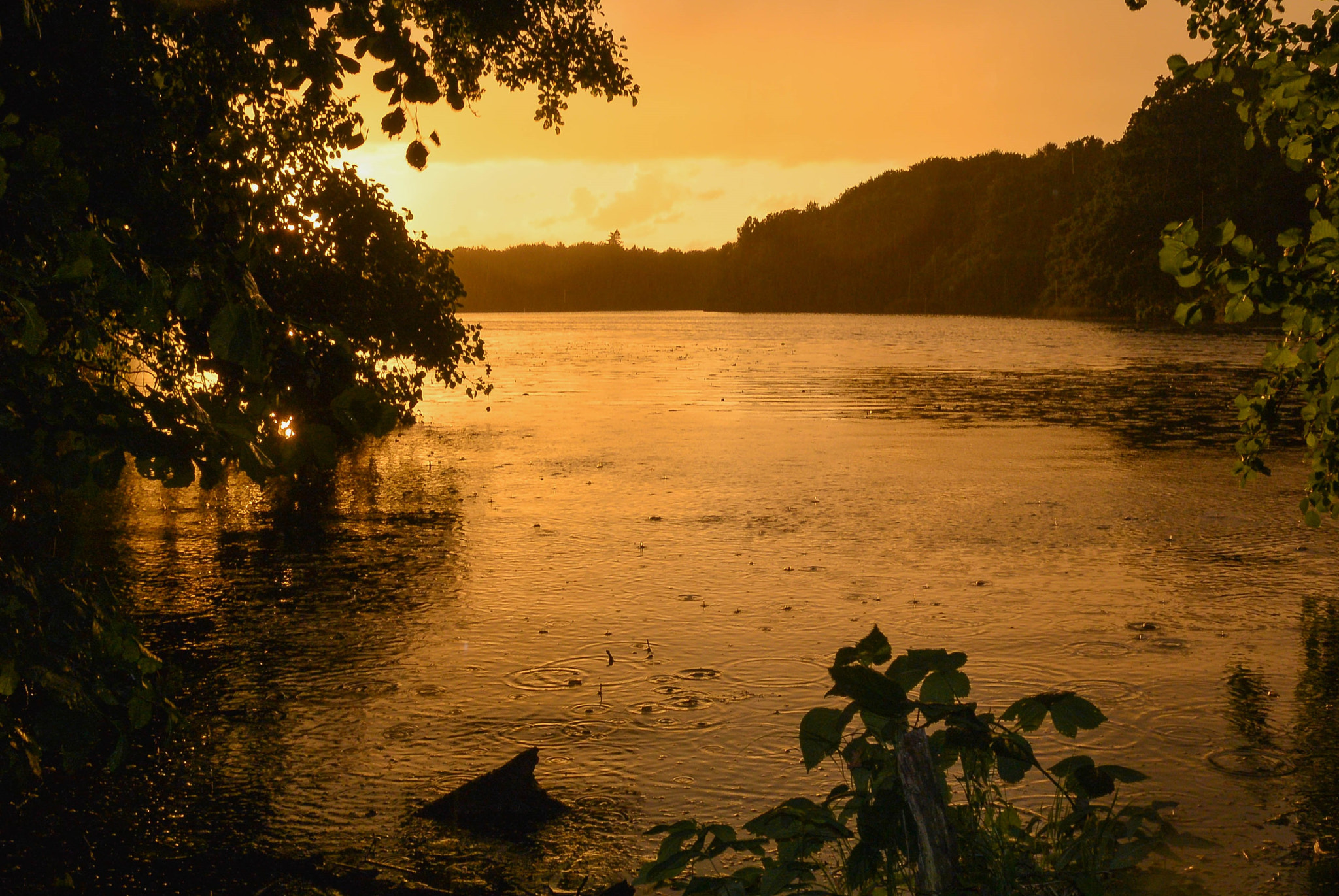 Nikon 1 S1 sample photo. Sunset in the rain... photography