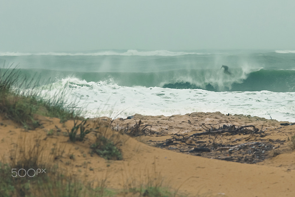 Sigma 70-200mm F2.8 EX DG OS HSM sample photo. Surfing in the sand photography