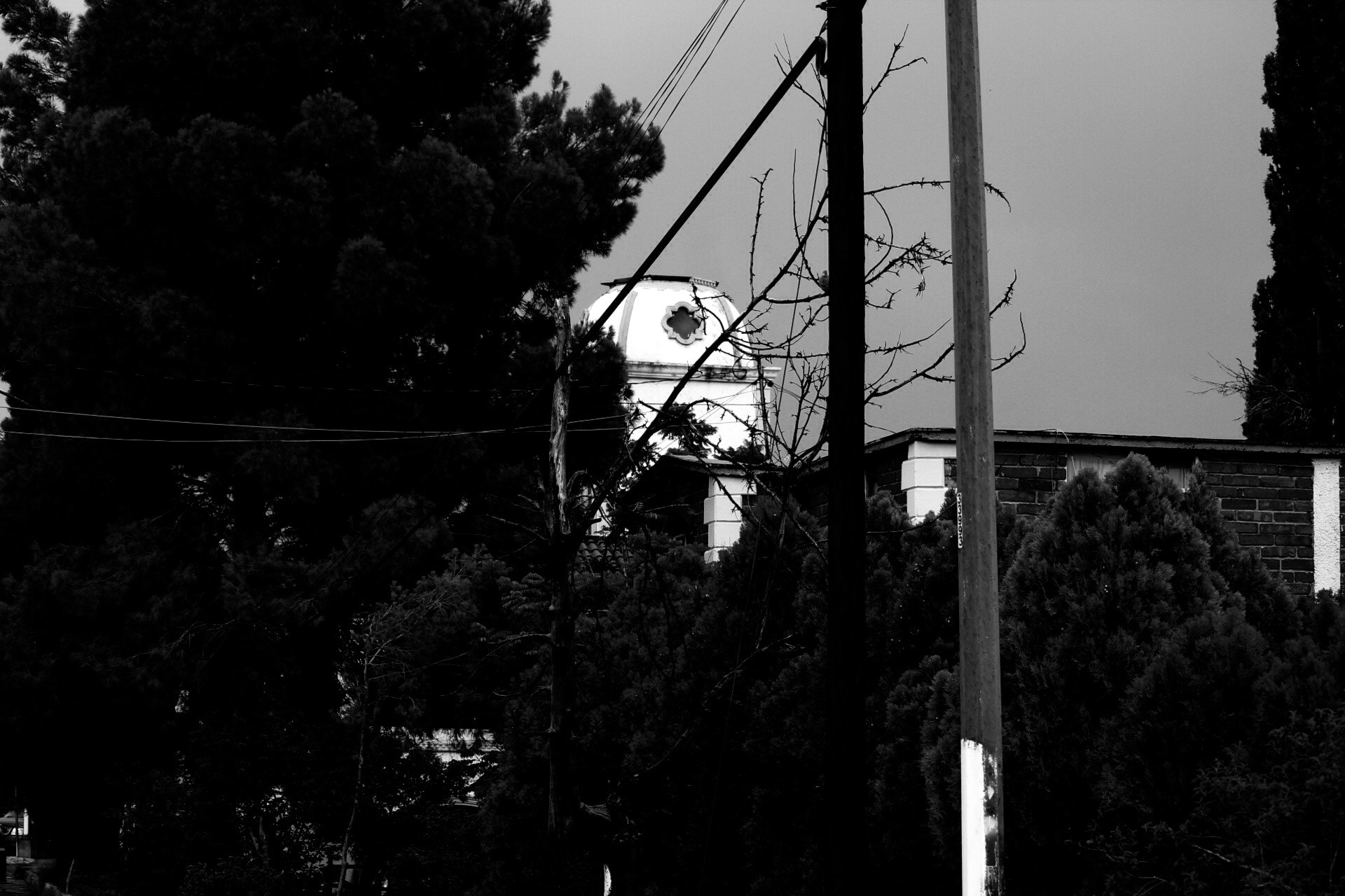 Canon EF-S 55-250mm F4-5.6 IS II sample photo. Byn photography